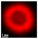 Nanomaterials 10 01075 i014 Nanomaterials 10 01075 i014