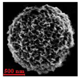 Nanomaterials 10 01075 i015 Nanomaterials 10 01075 i015