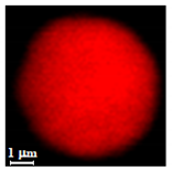 Nanomaterials 10 01075 i017 Nanomaterials 10 01075 i017