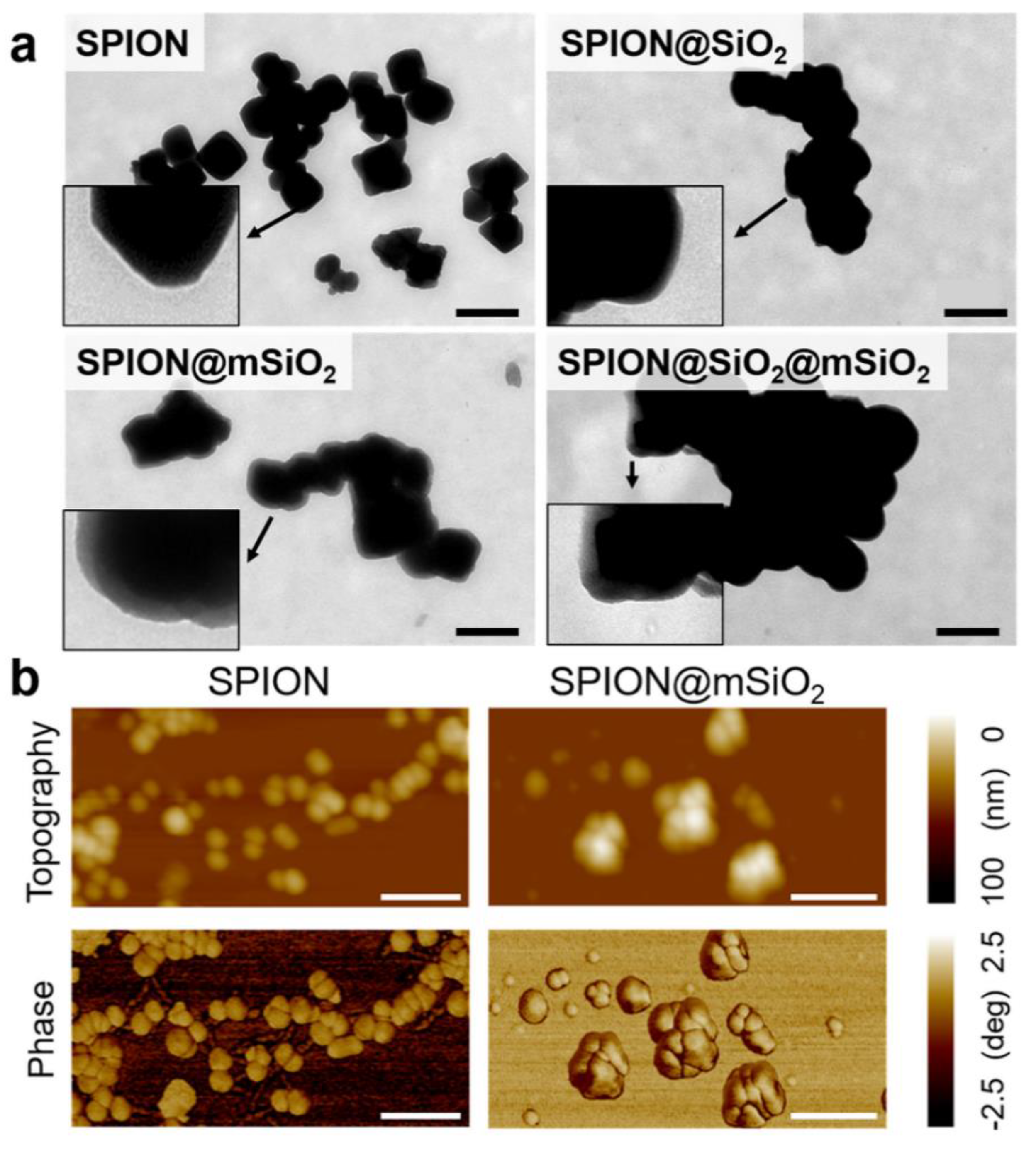 Nanomaterials 10 01076 g003