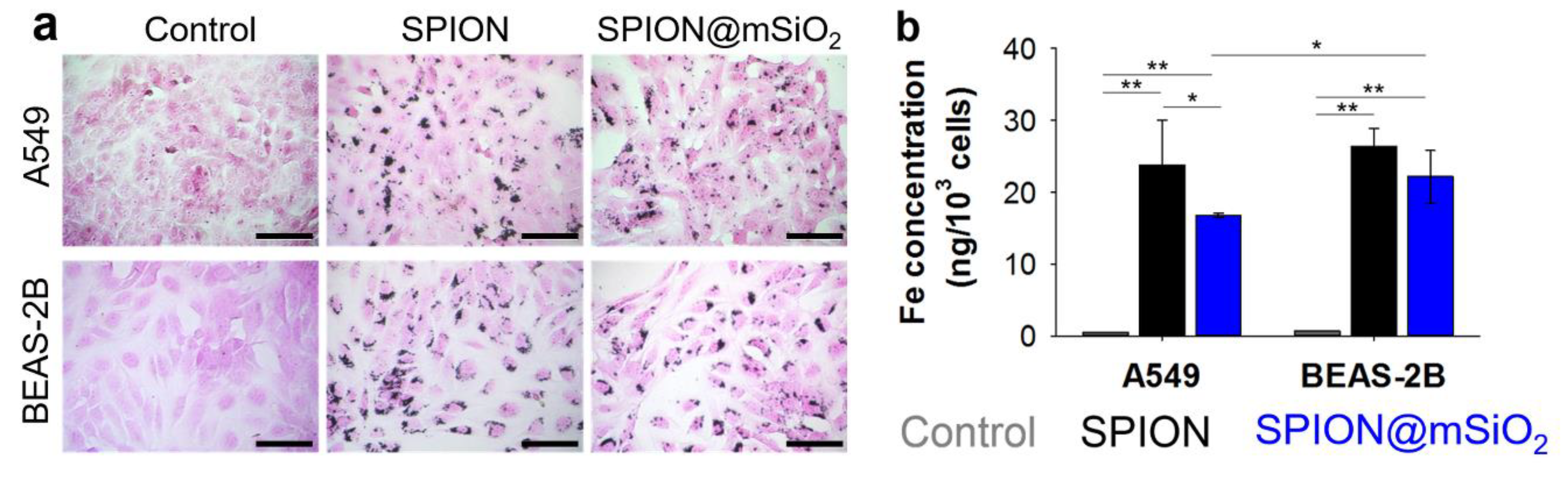 Nanomaterials 10 01076 g005