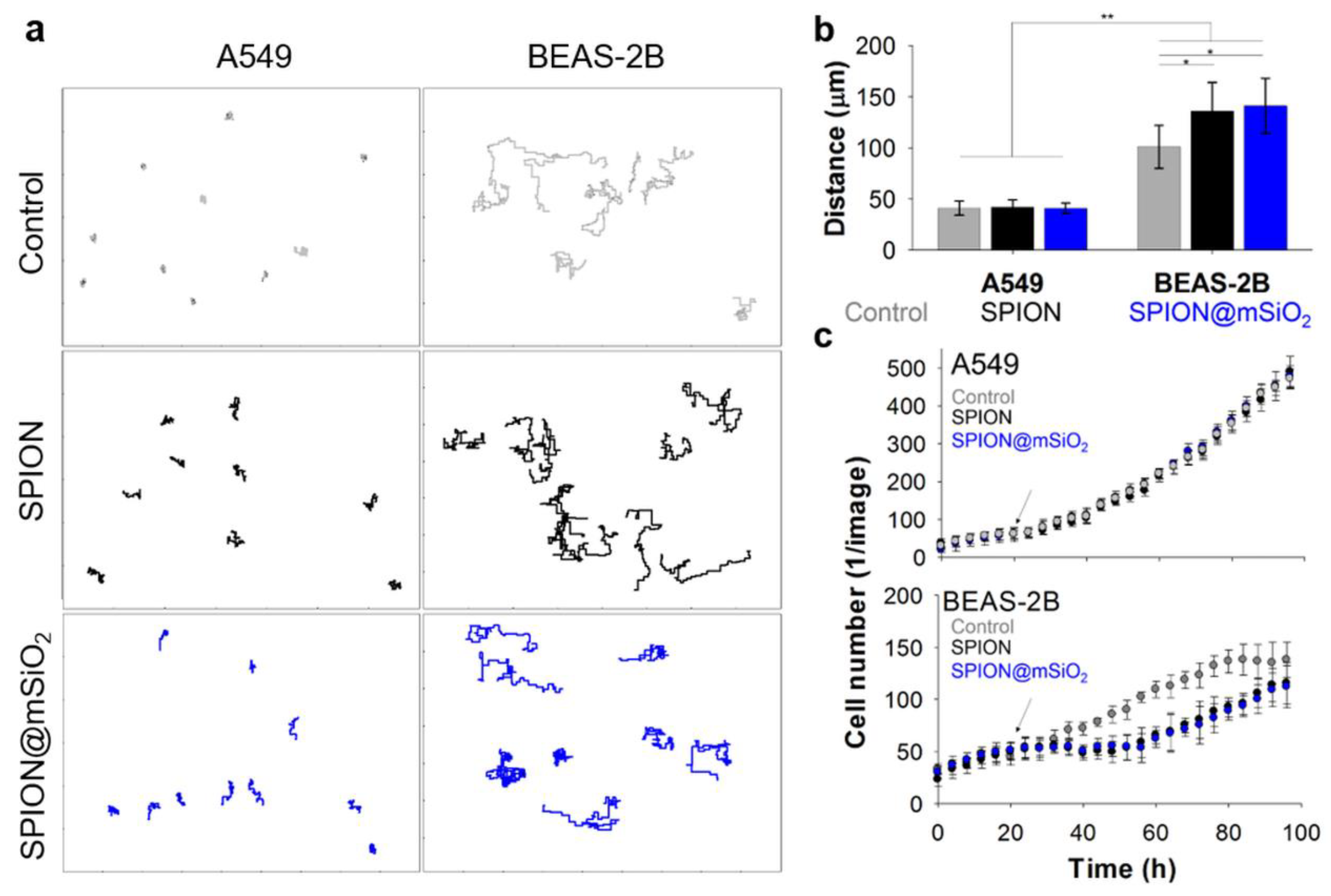 Nanomaterials 10 01076 g007