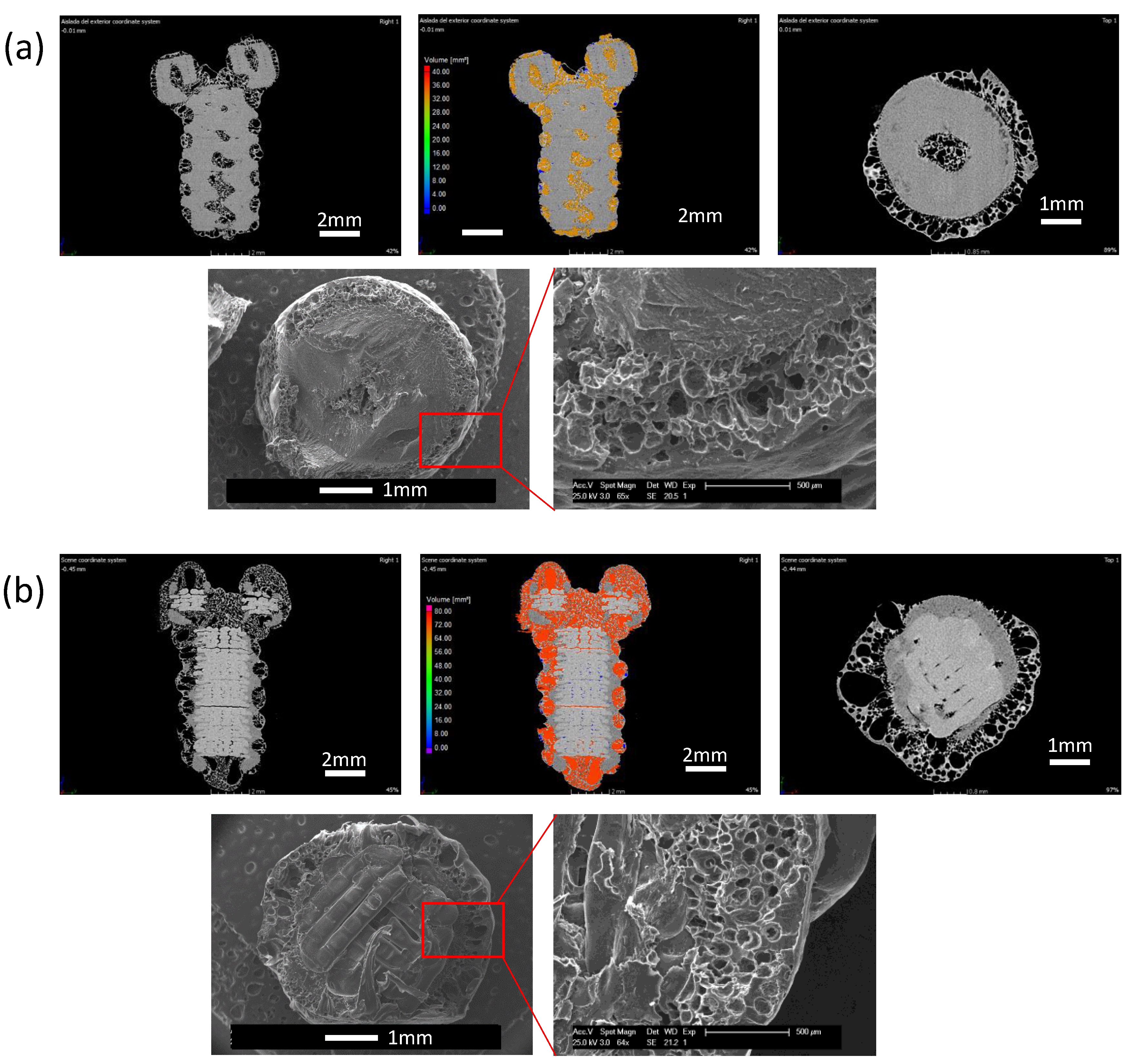 Nanomaterials 10 01080 g008