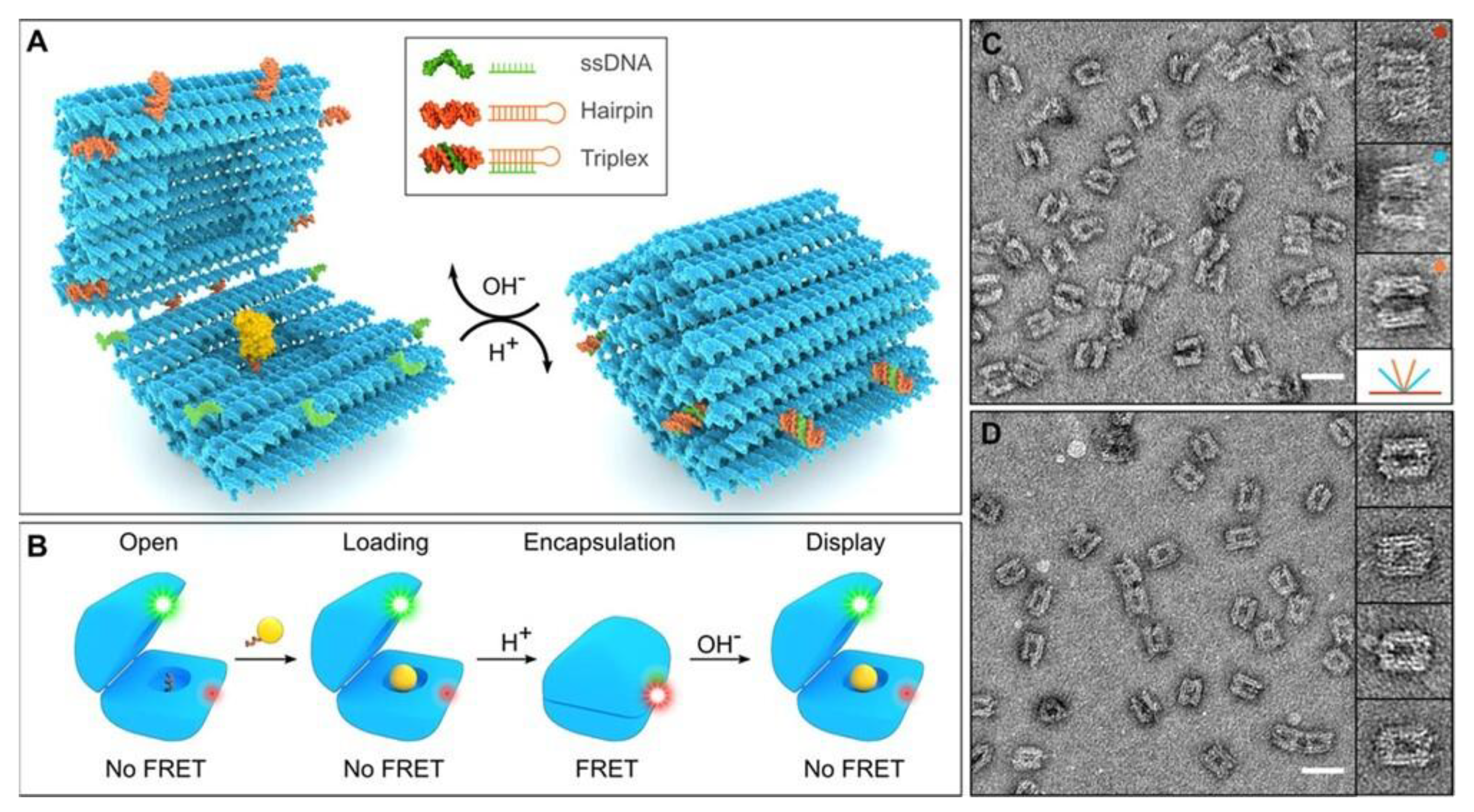 Nanomaterials 10 01083 g004 Nanomaterials 10 01083 g004
