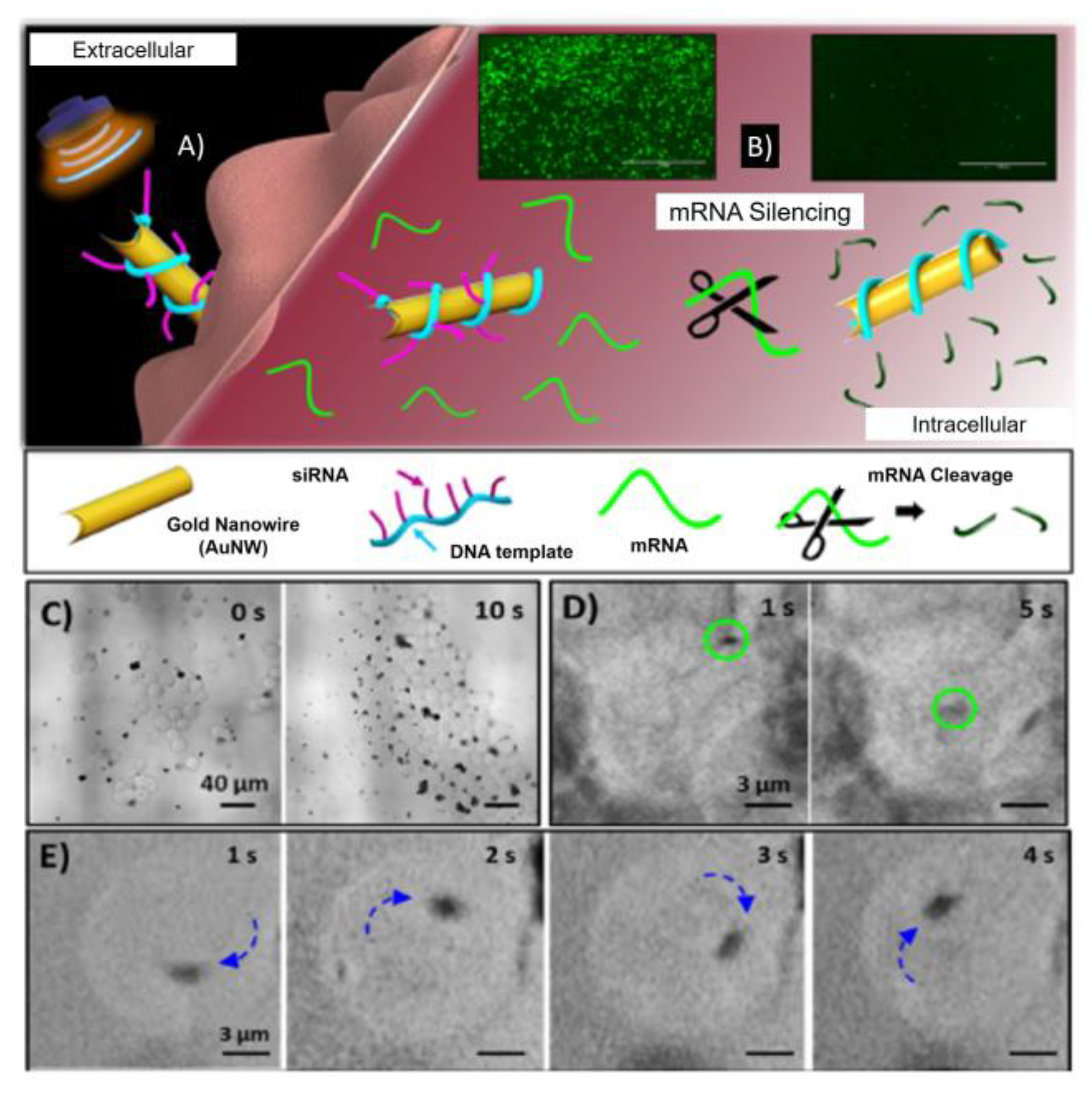 Nanomaterials 10 01083 g005 Nanomaterials 10 01083 g005