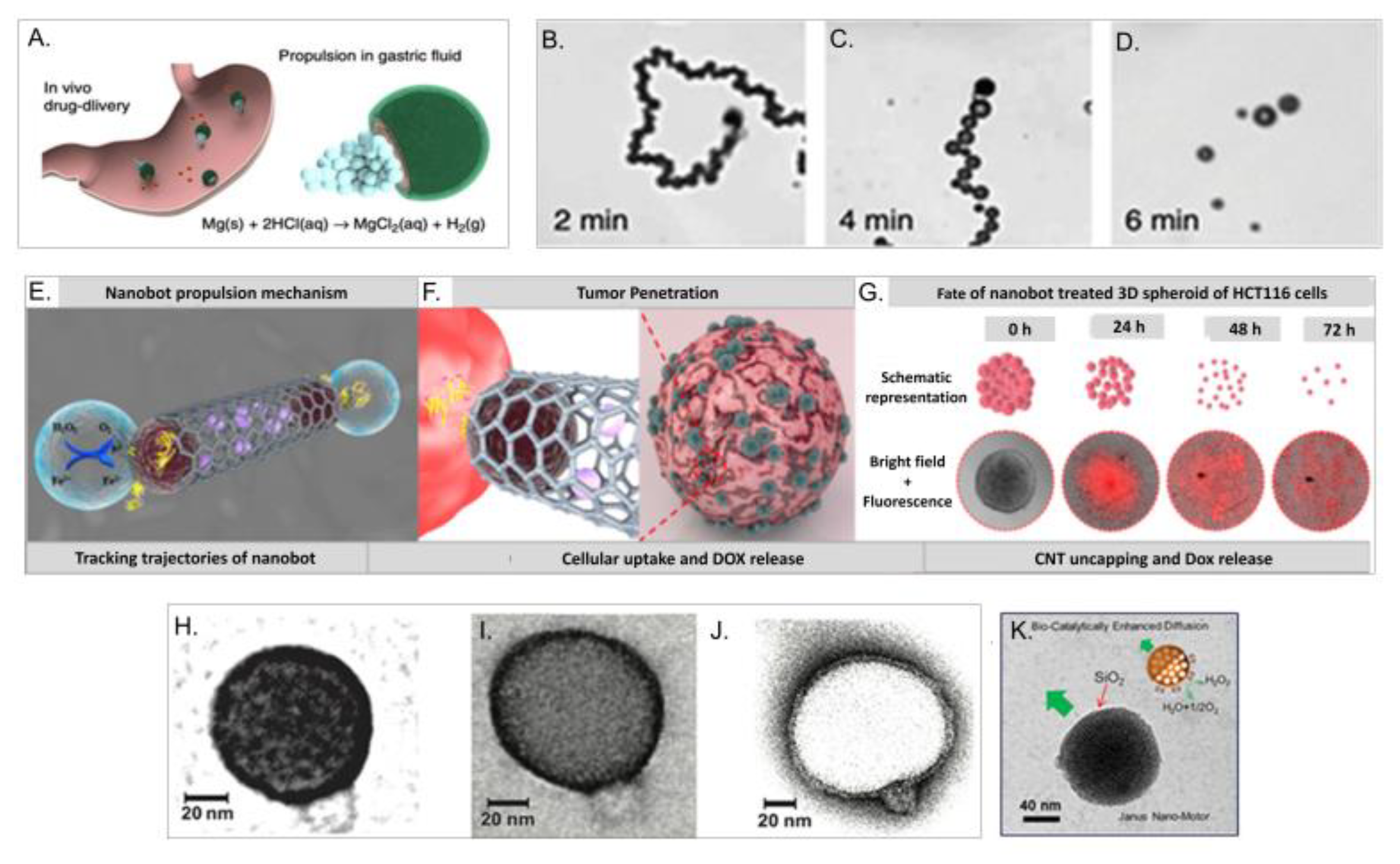 Nanomaterials 10 01083 g006 Nanomaterials 10 01083 g006