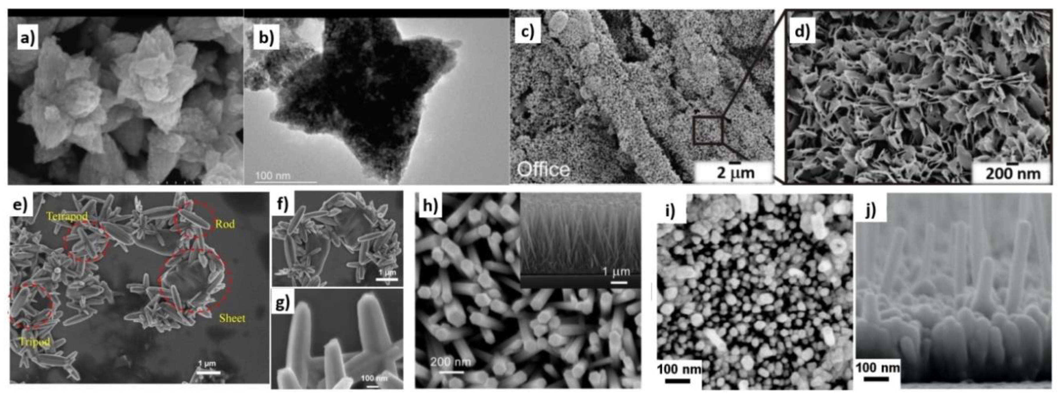 Nanomaterials 10 01086 g017