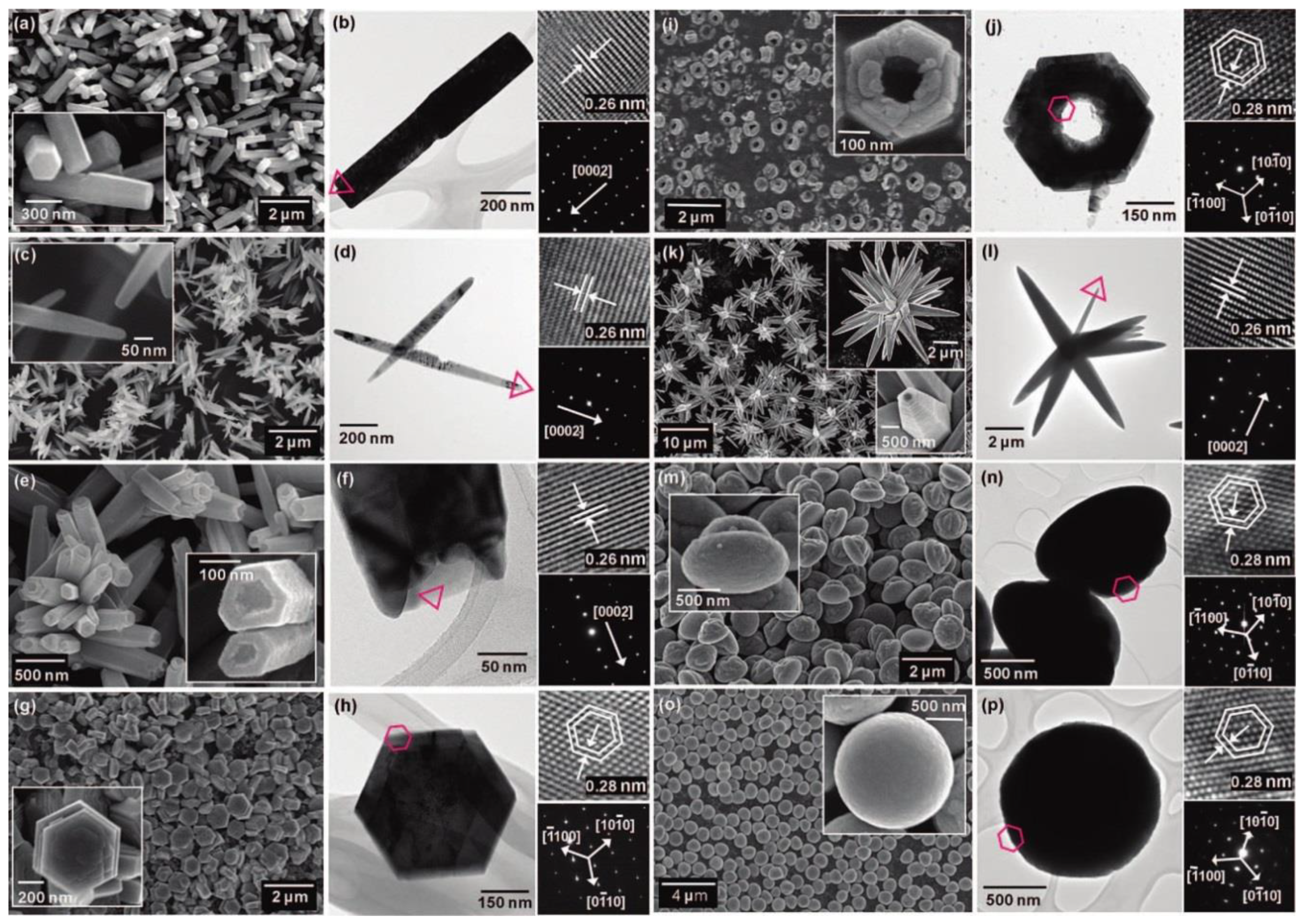 Nanomaterials 10 01086 g020