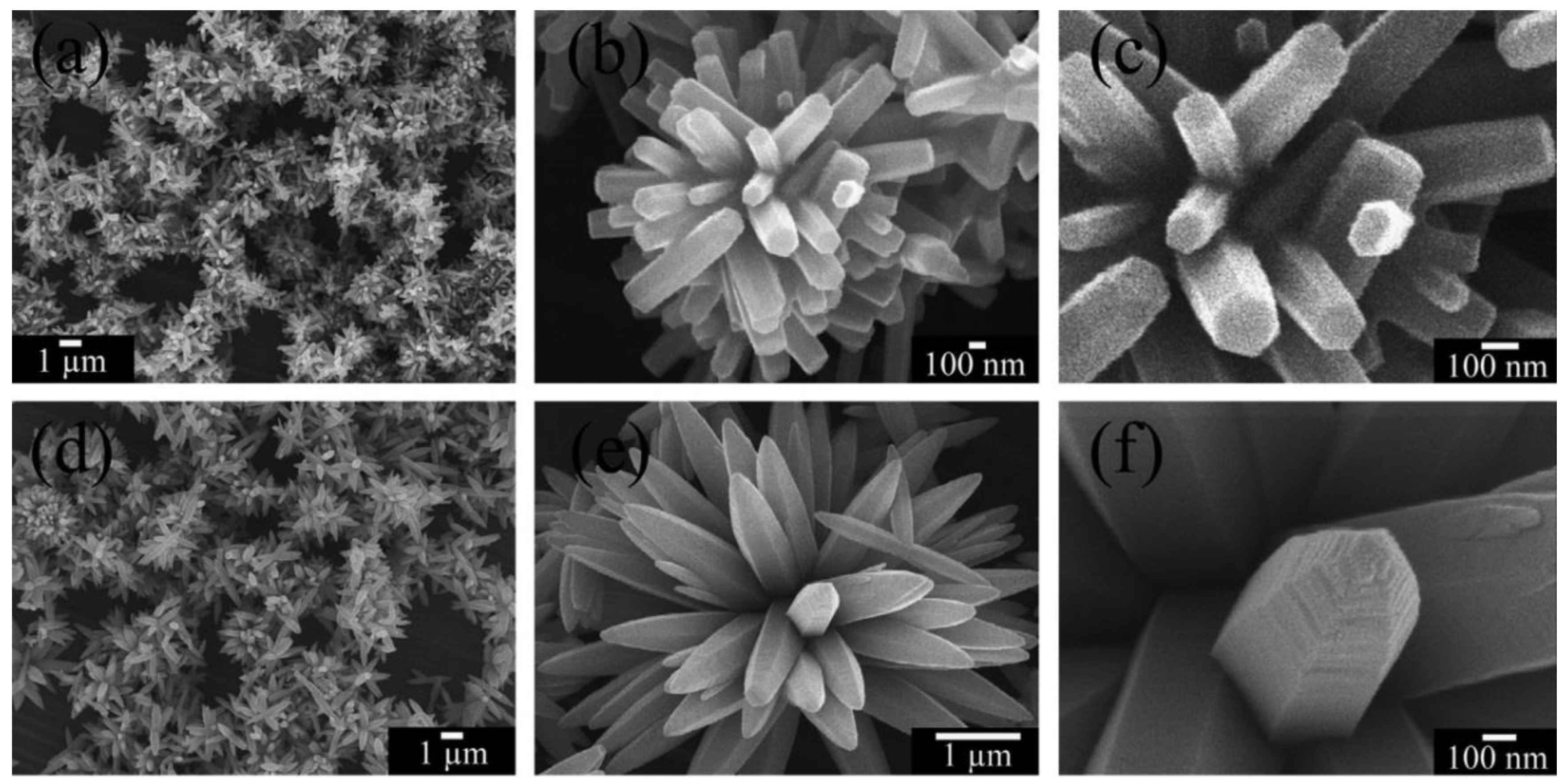 Nanomaterials 10 01086 g021