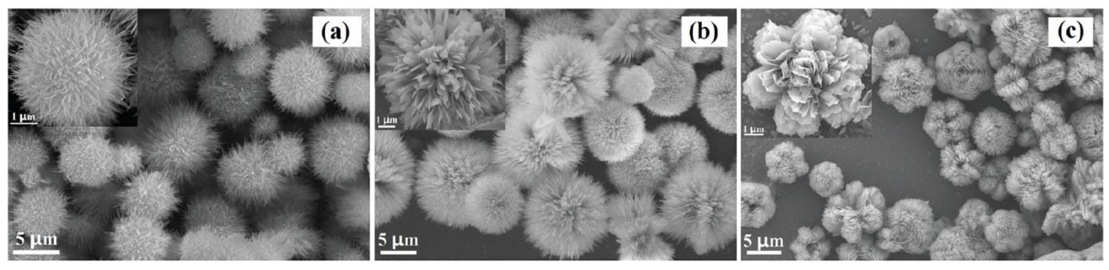 Nanomaterials 10 01086 g022