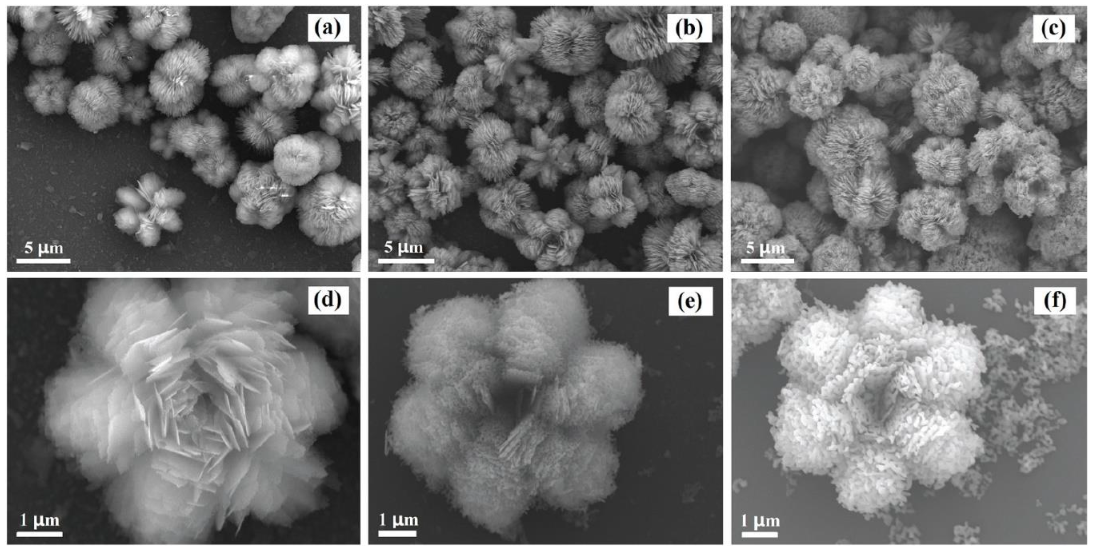 Nanomaterials 10 01086 g023
