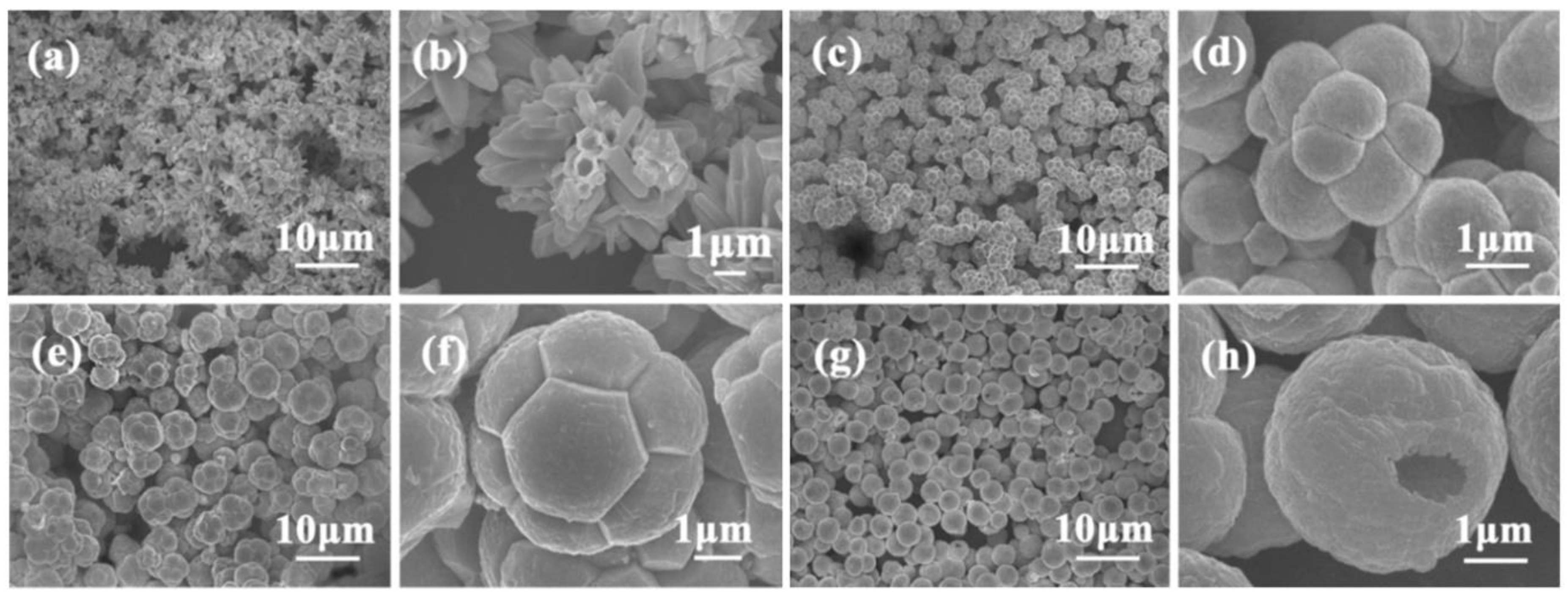 Nanomaterials 10 01086 g025