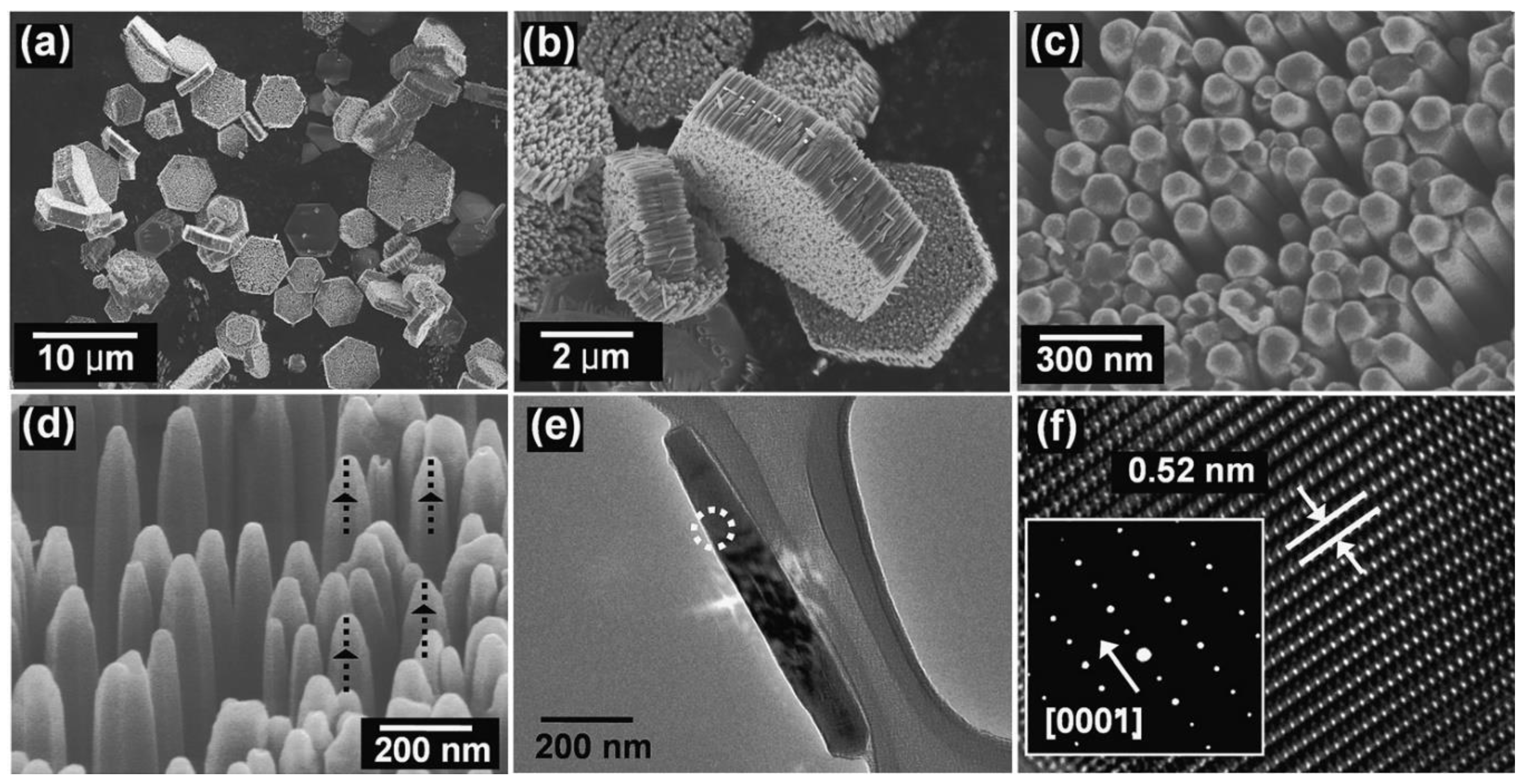 Nanomaterials 10 01086 g027