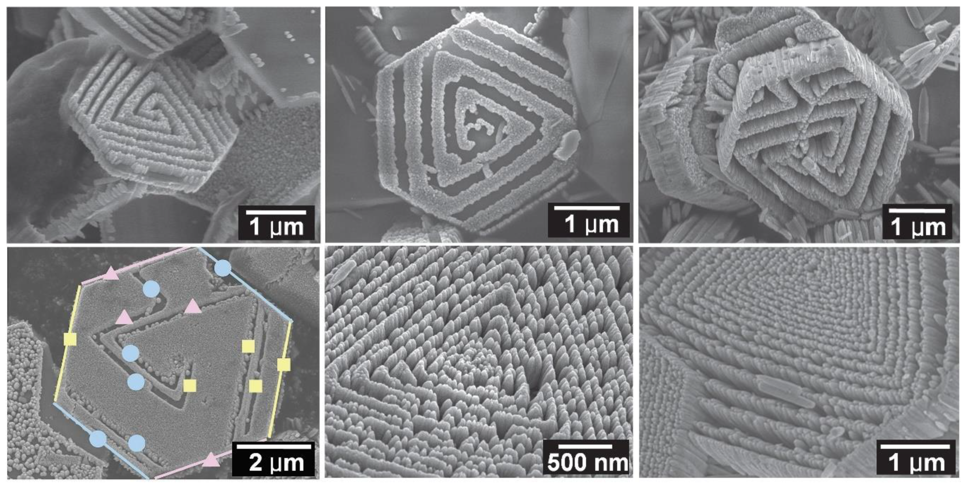 Nanomaterials 10 01086 g028