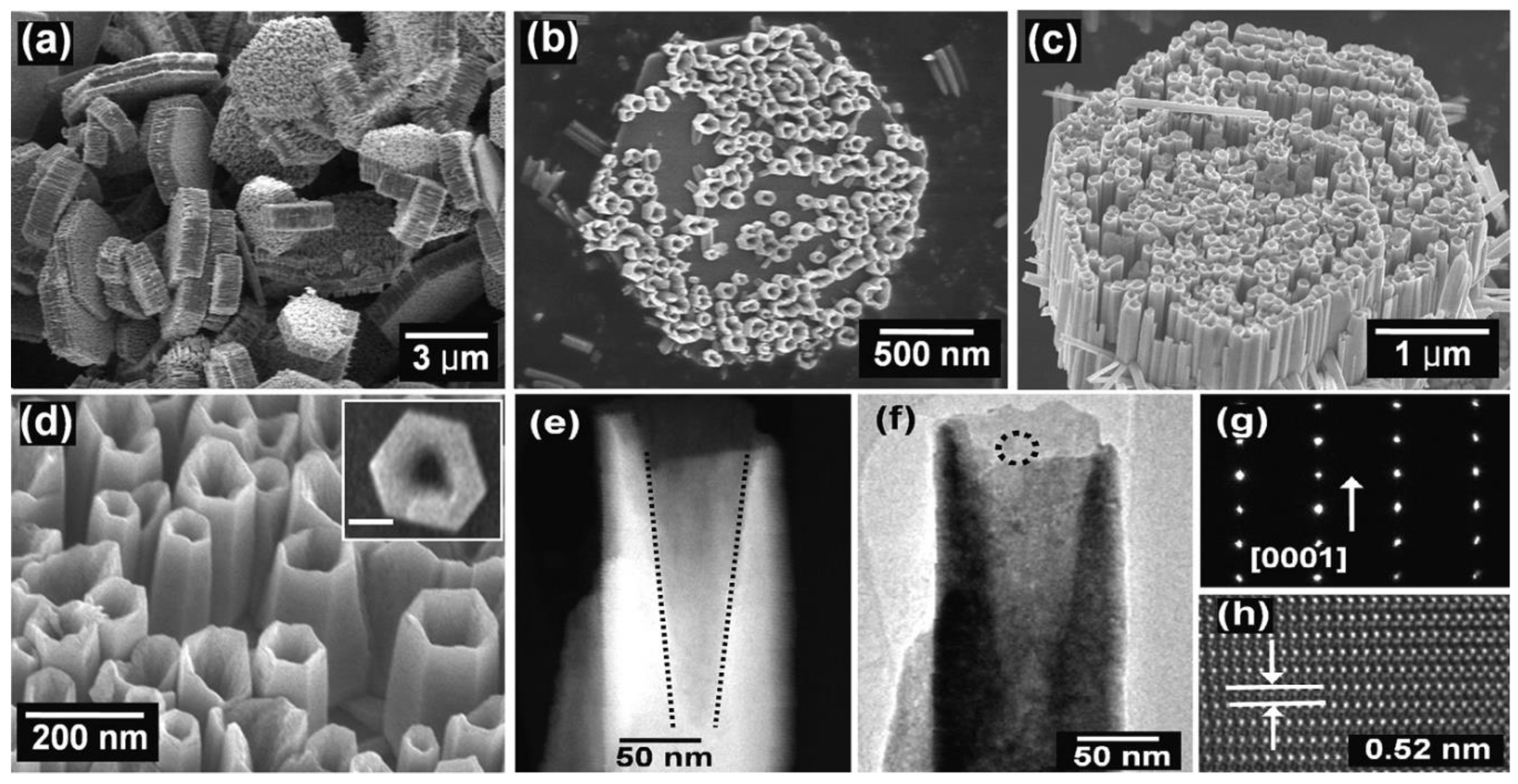 Nanomaterials 10 01086 g030