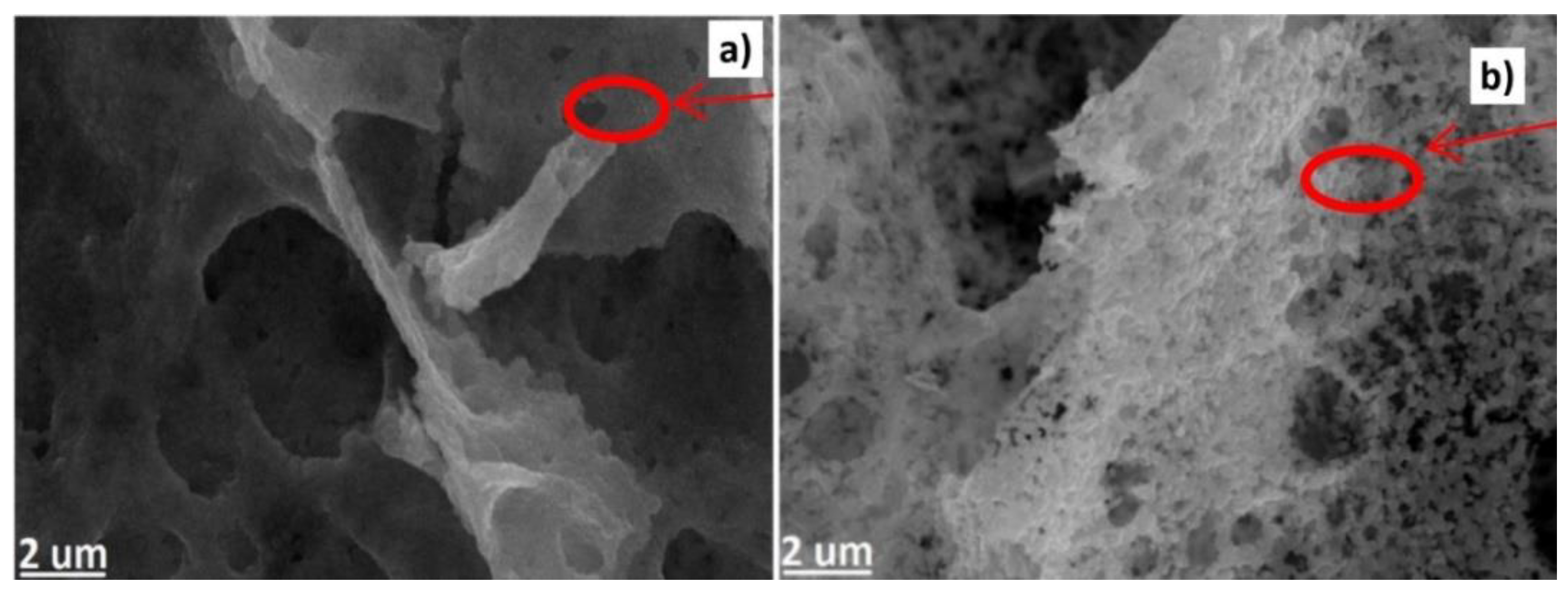 Nanomaterials 10 01086 g032