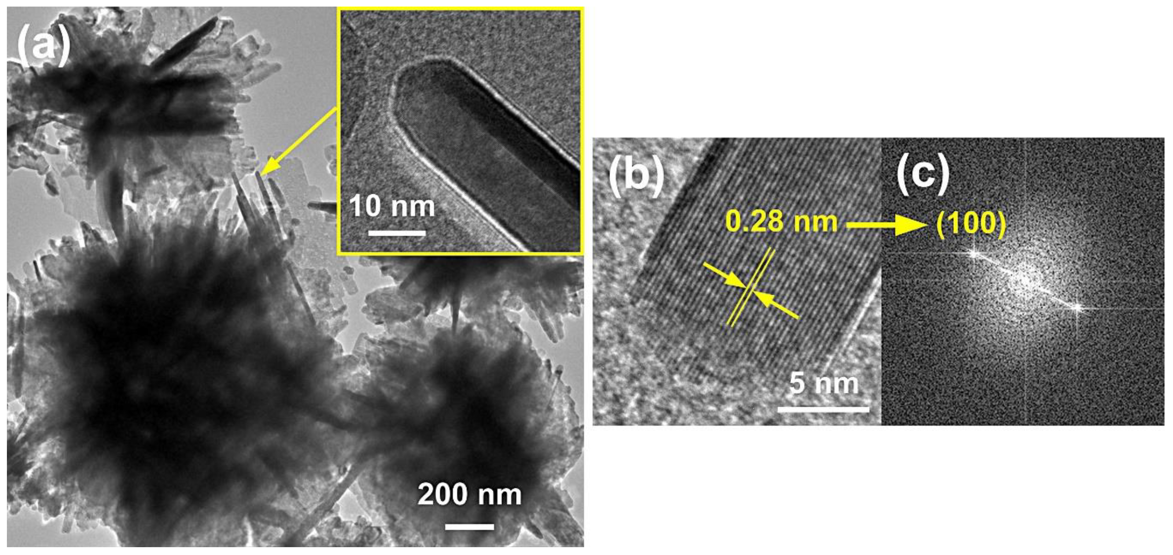 Nanomaterials 10 01086 g053