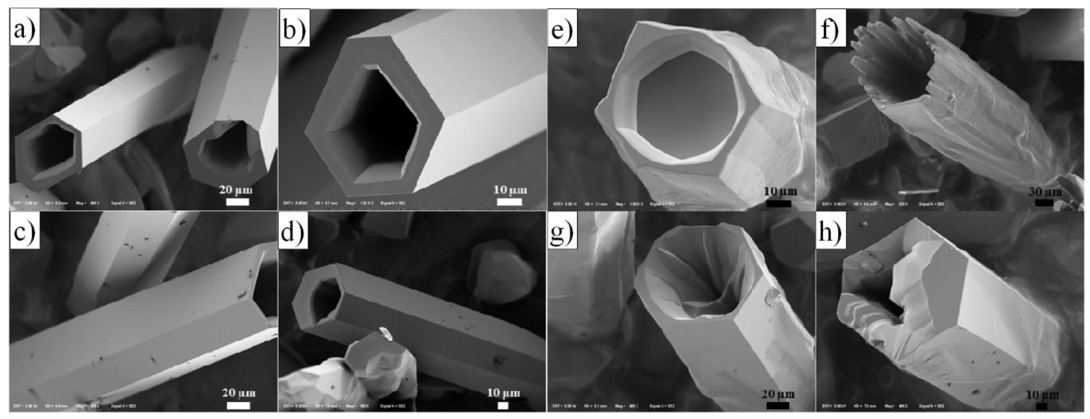 Nanomaterials 10 01086 g066