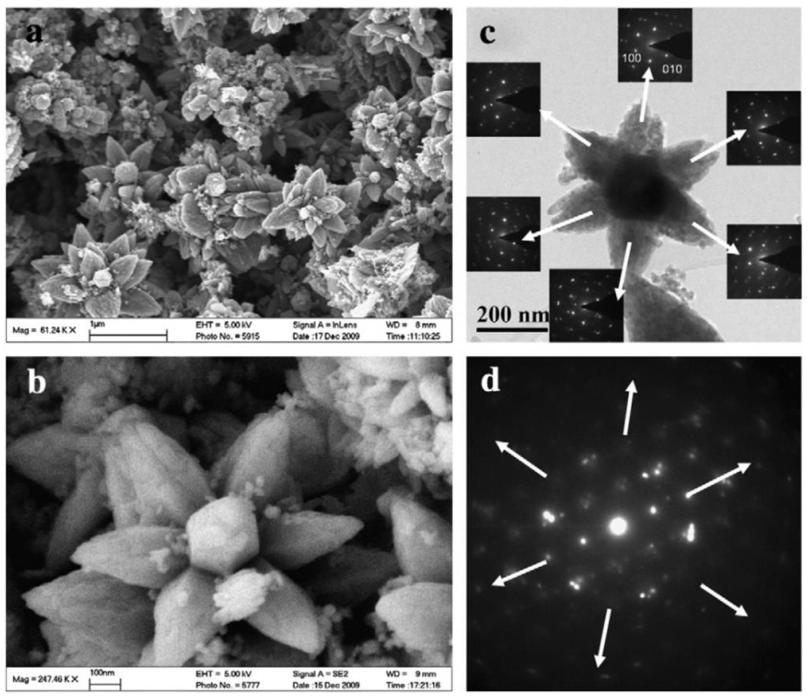 Nanomaterials 10 01086 g067