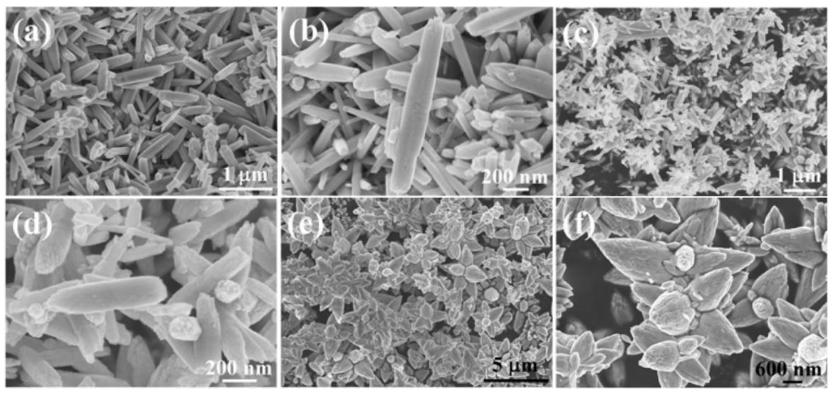Nanomaterials 10 01086 g071