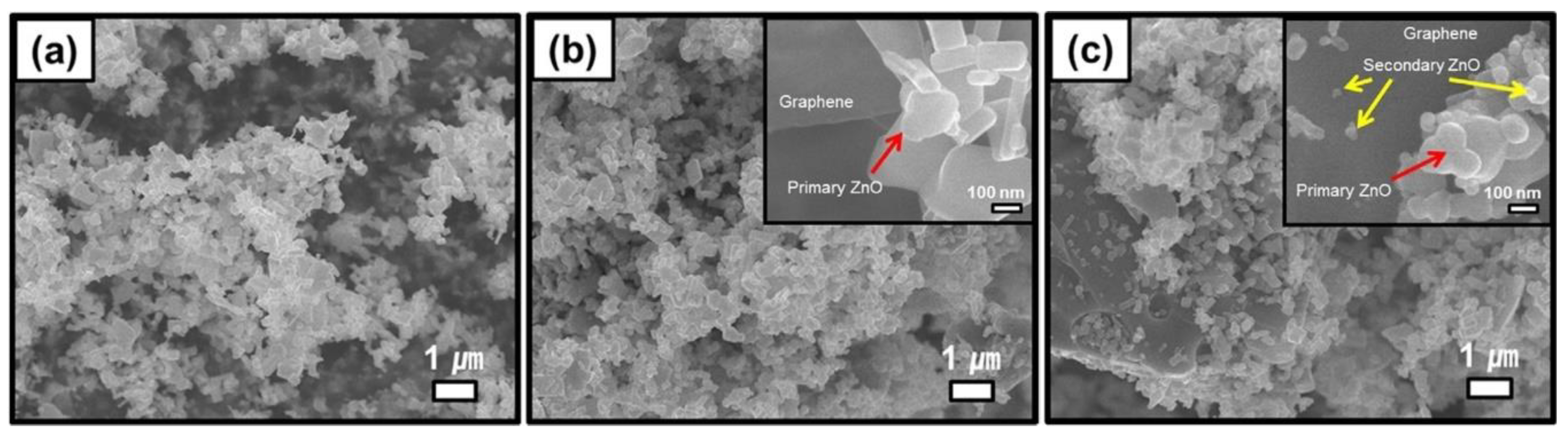 Nanomaterials 10 01086 g081