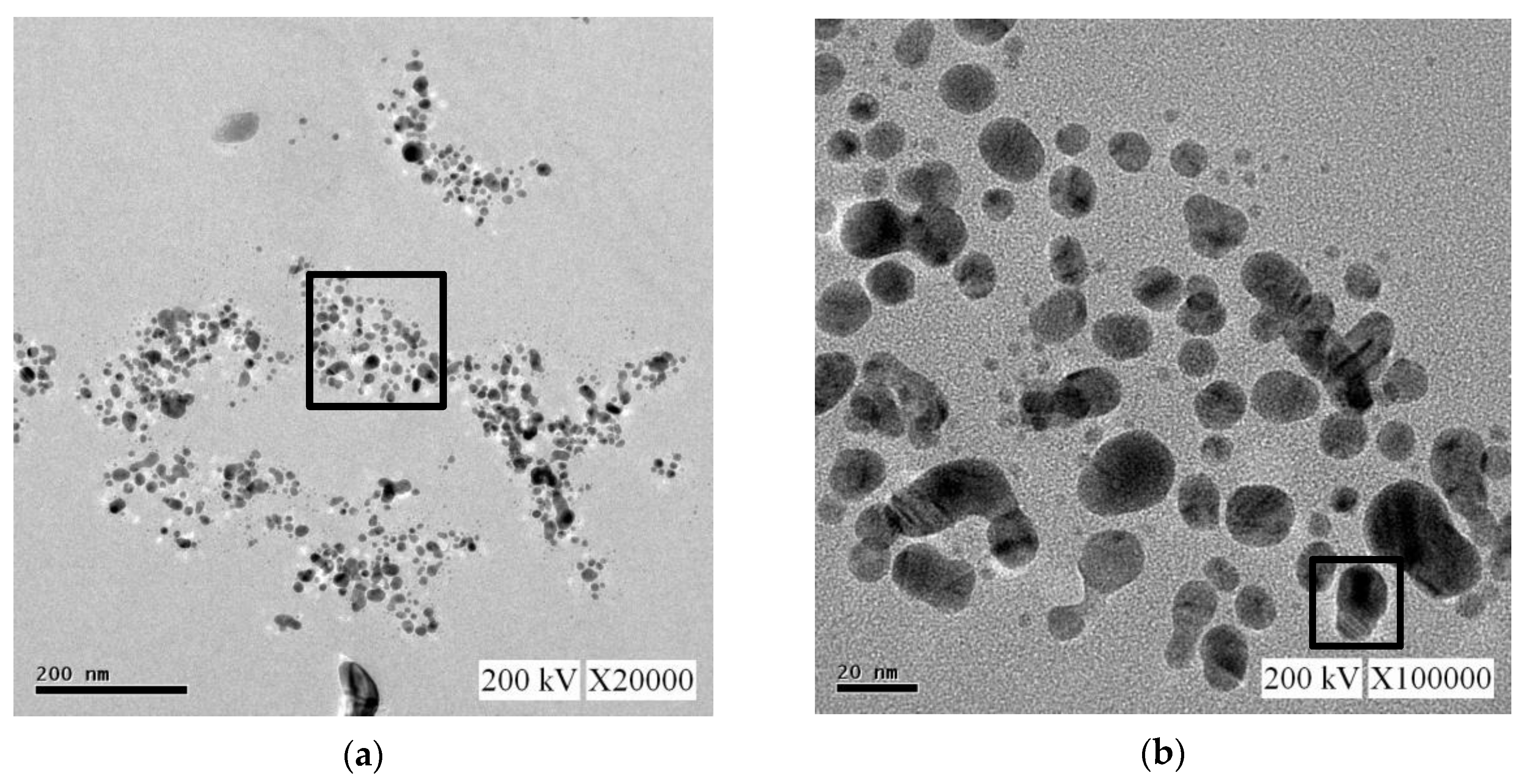 Nanomaterials 10 01091 g012a