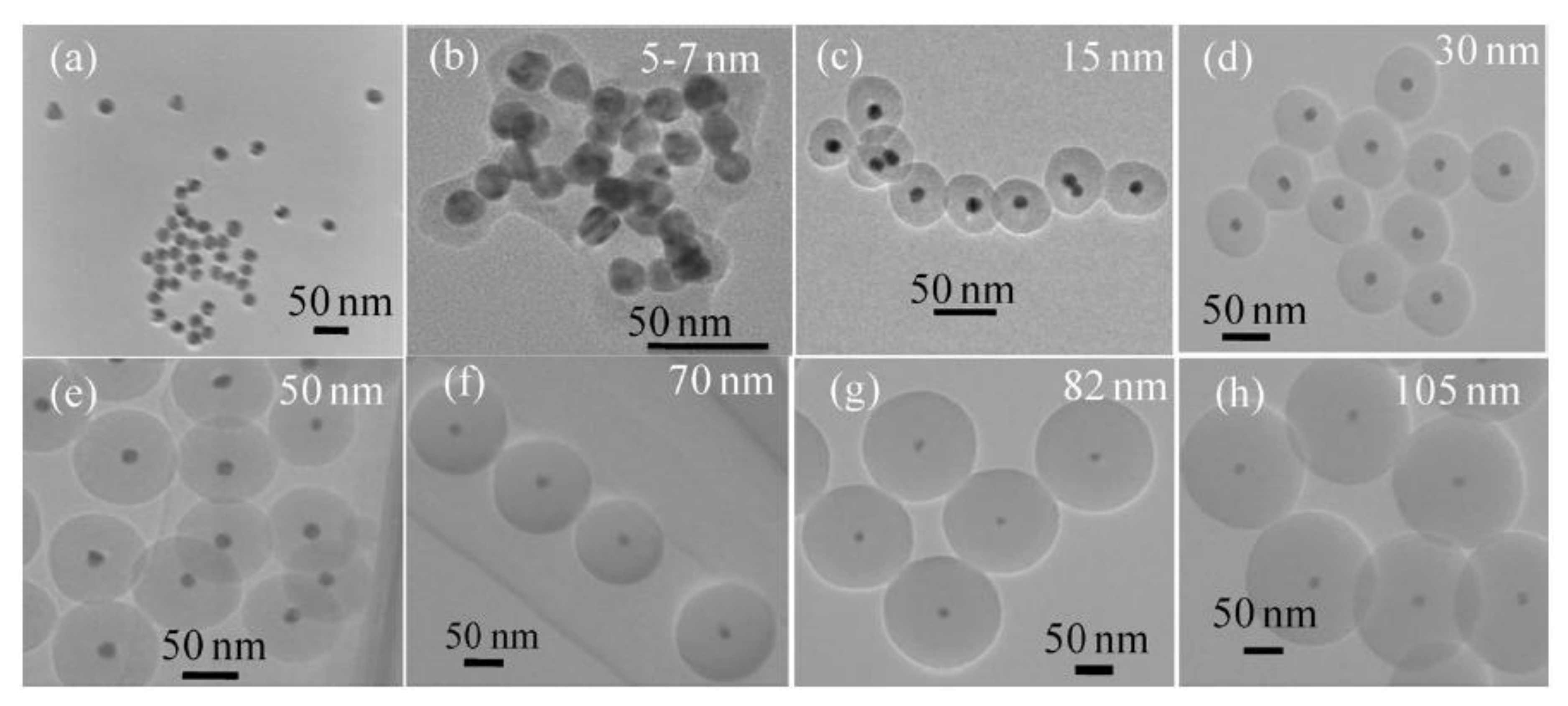 Nanomaterials 10 01092 g001 Nanomaterials 10 01092 g001