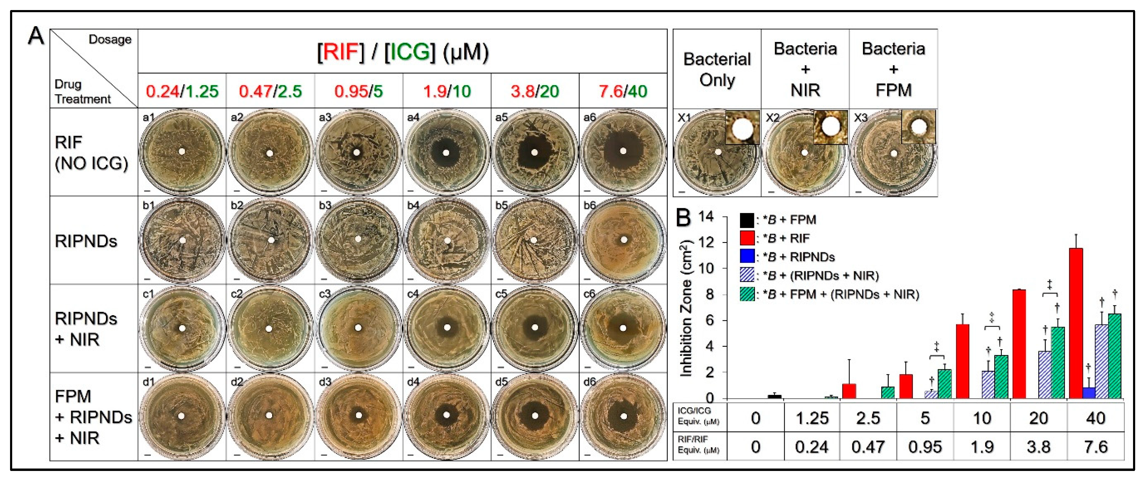 Nanomaterials 10 01095 g002