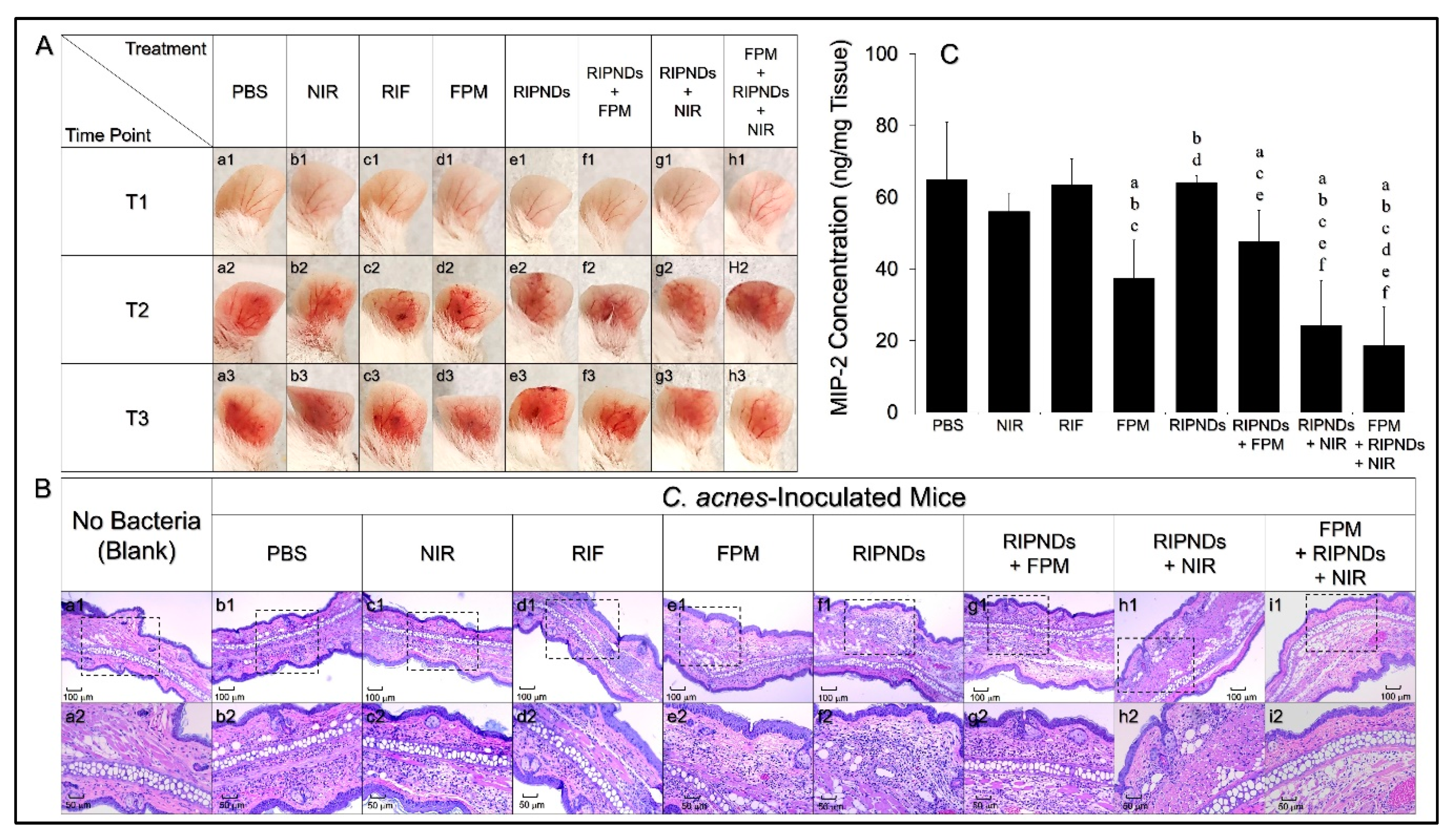 Nanomaterials 10 01095 g004