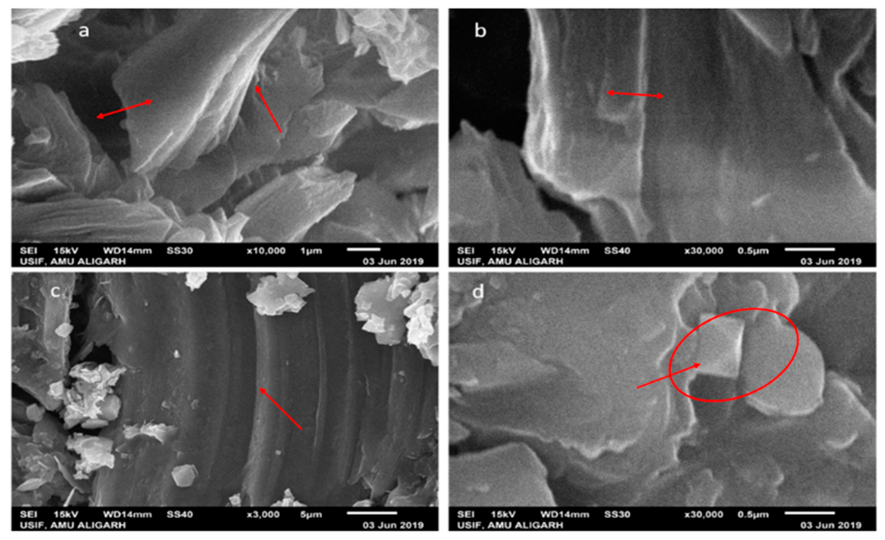 Nanomaterials 10 01096 g004