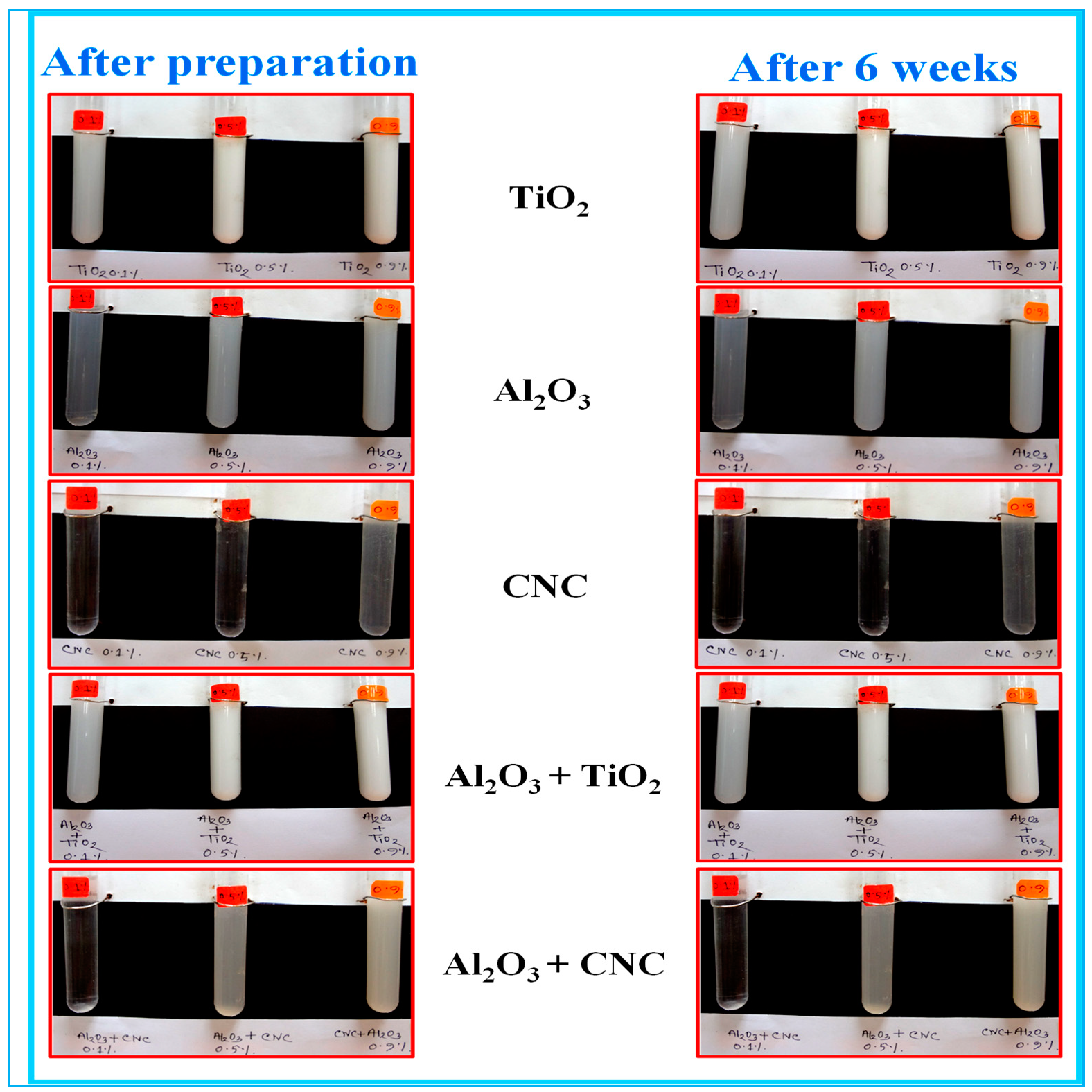 Nanomaterials 10 01100 i001