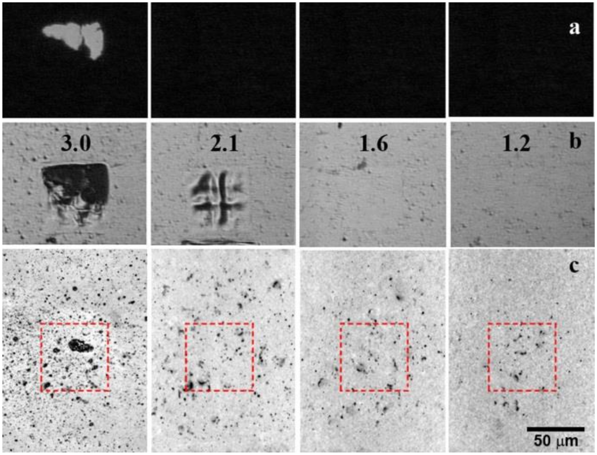 Nanomaterials 10 01103 g002