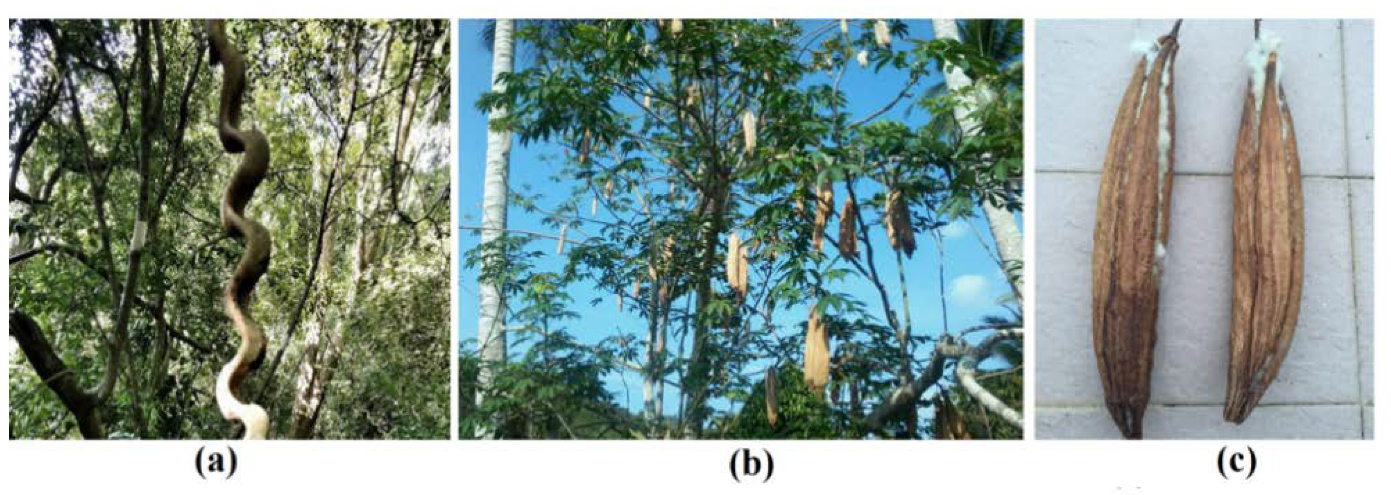 Nanomaterials 10 01104 g001 Nanomaterials 10 01104 g001