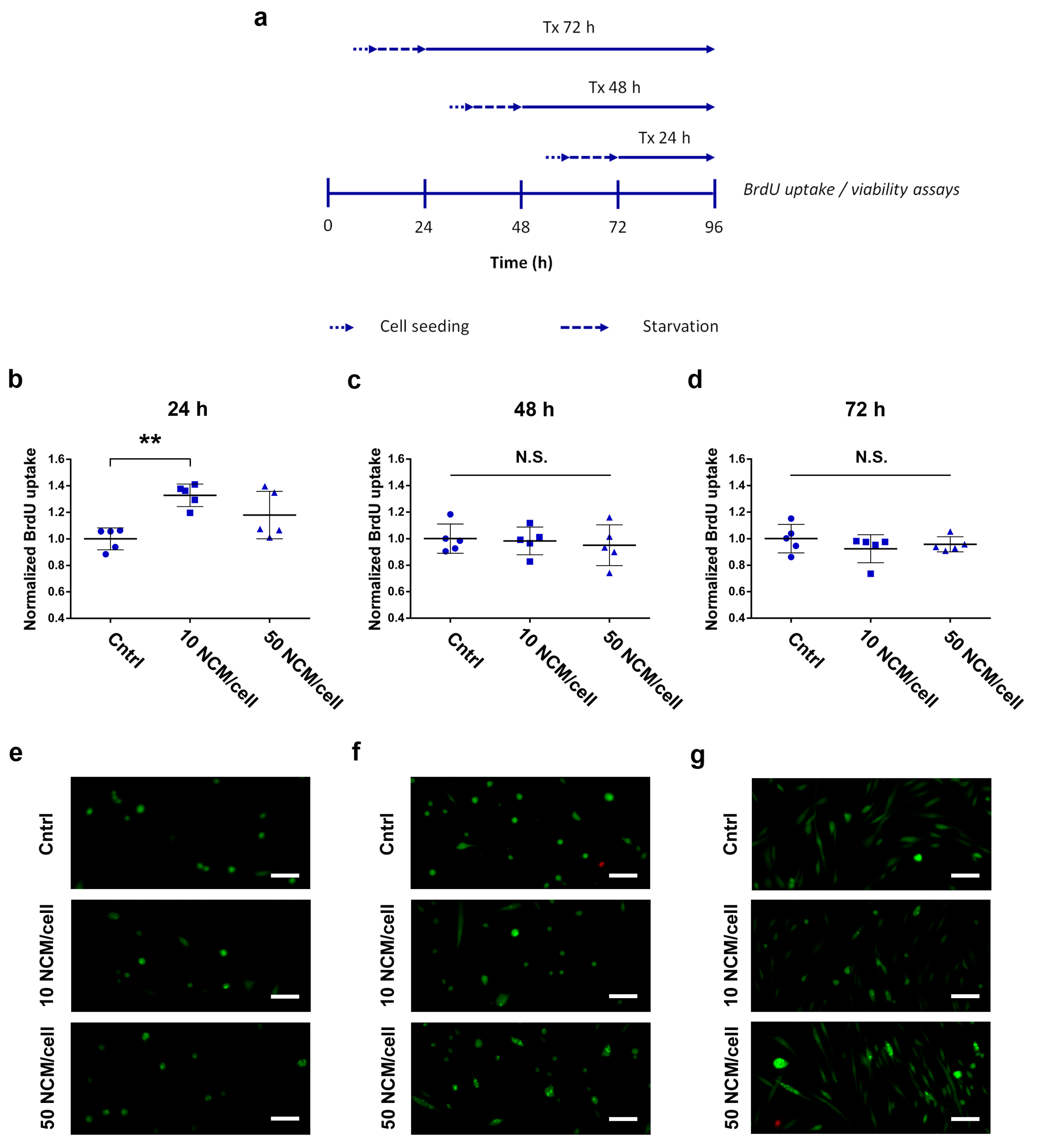 Nanomaterials 10 01108 g002