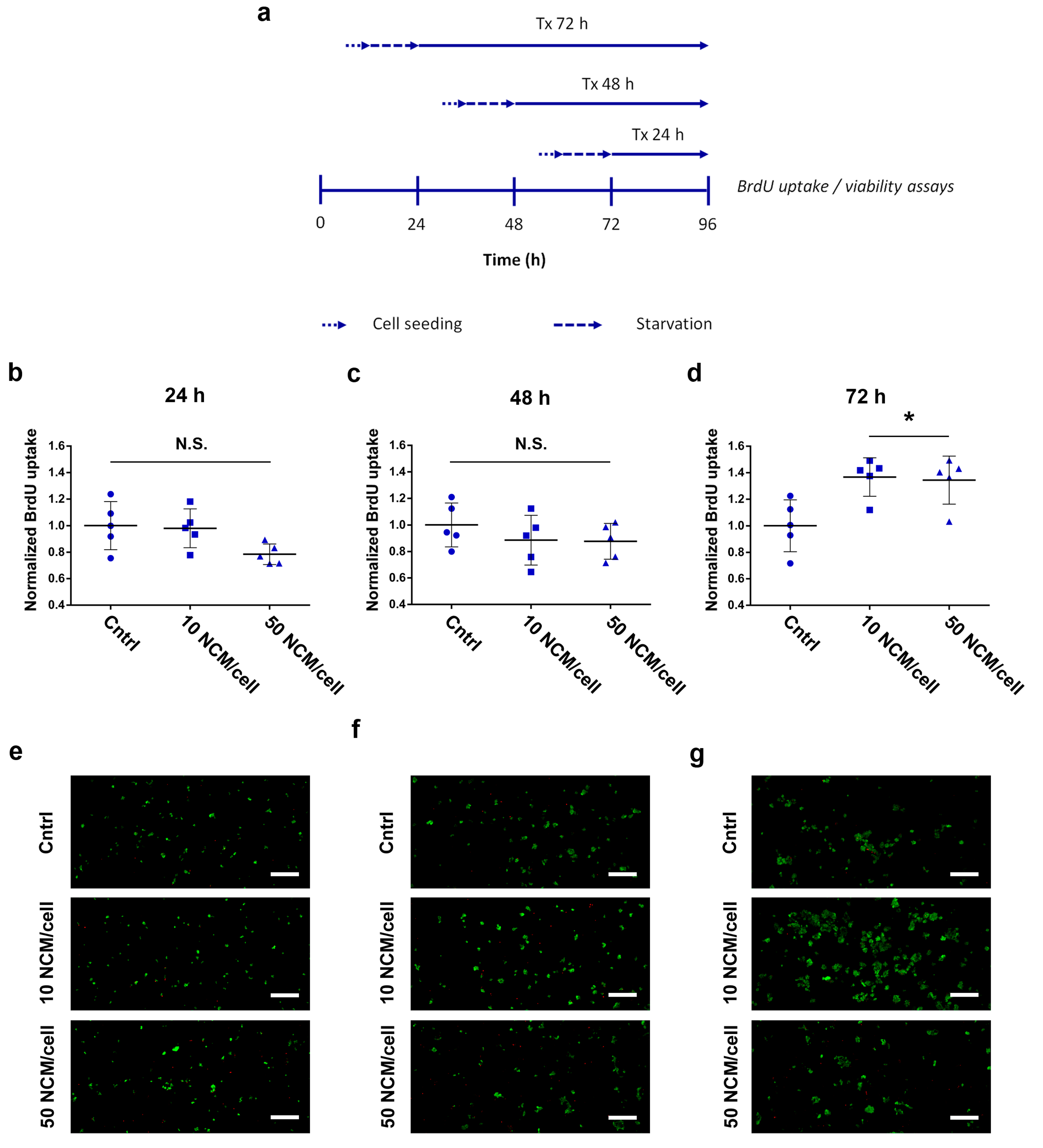 Nanomaterials 10 01108 g003