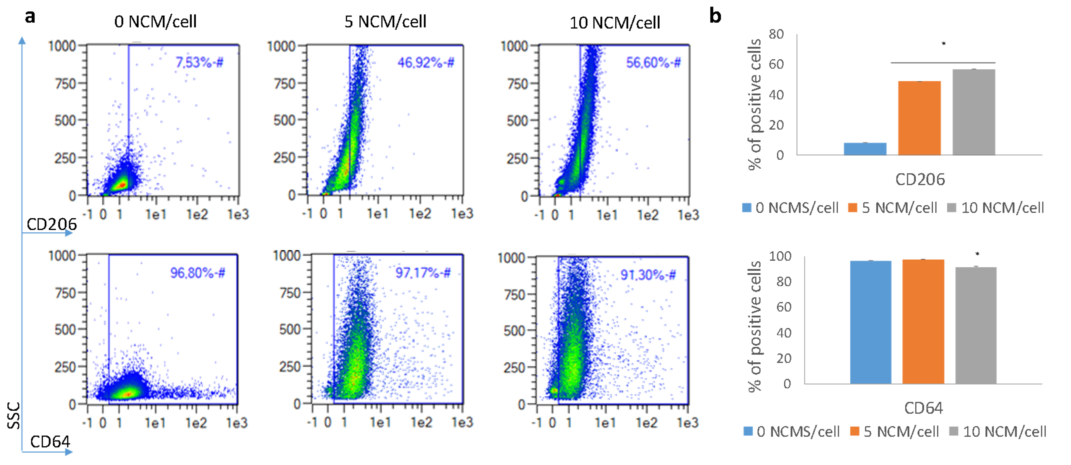 Nanomaterials 10 01108 g005