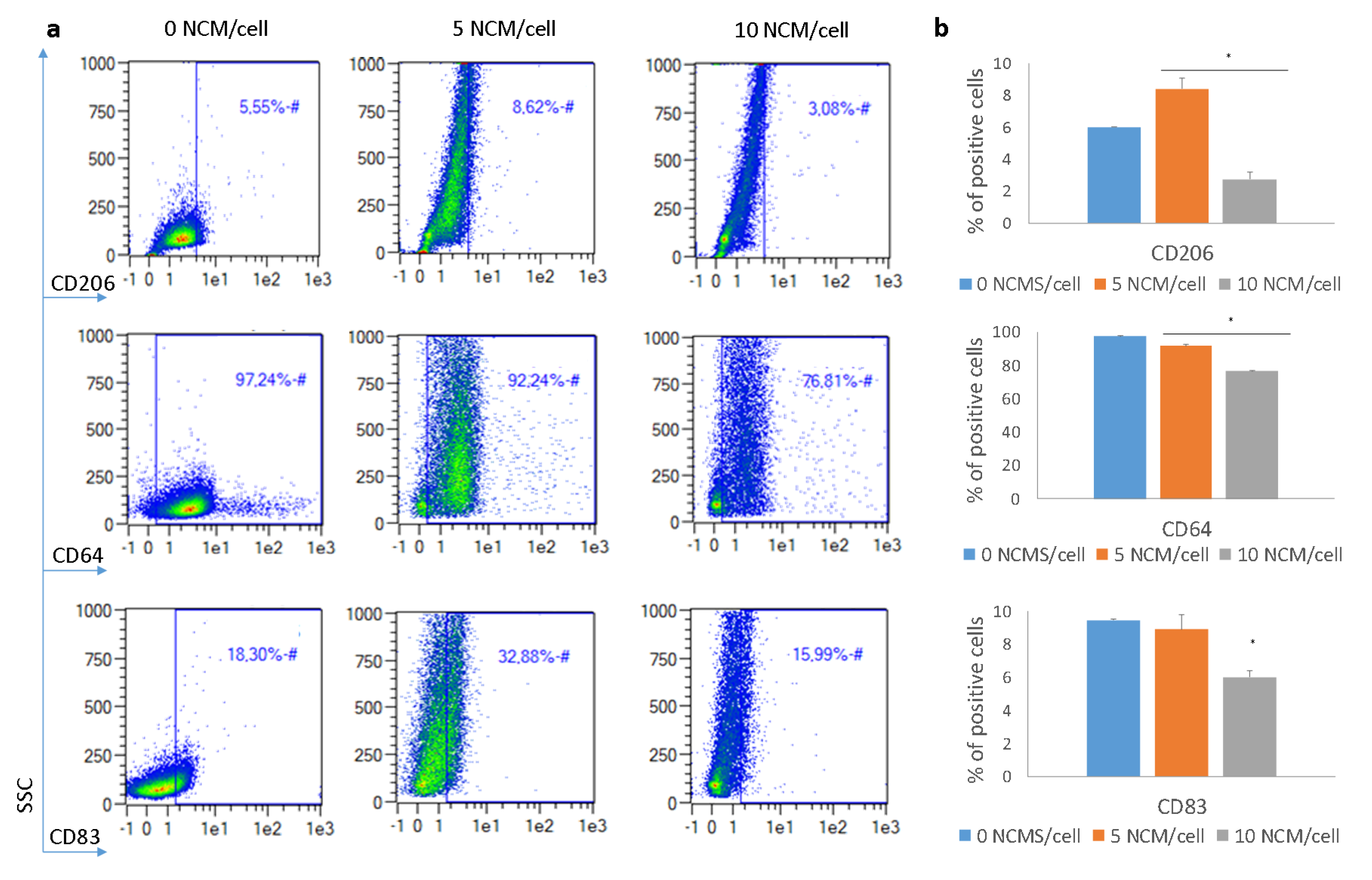 Nanomaterials 10 01108 g006