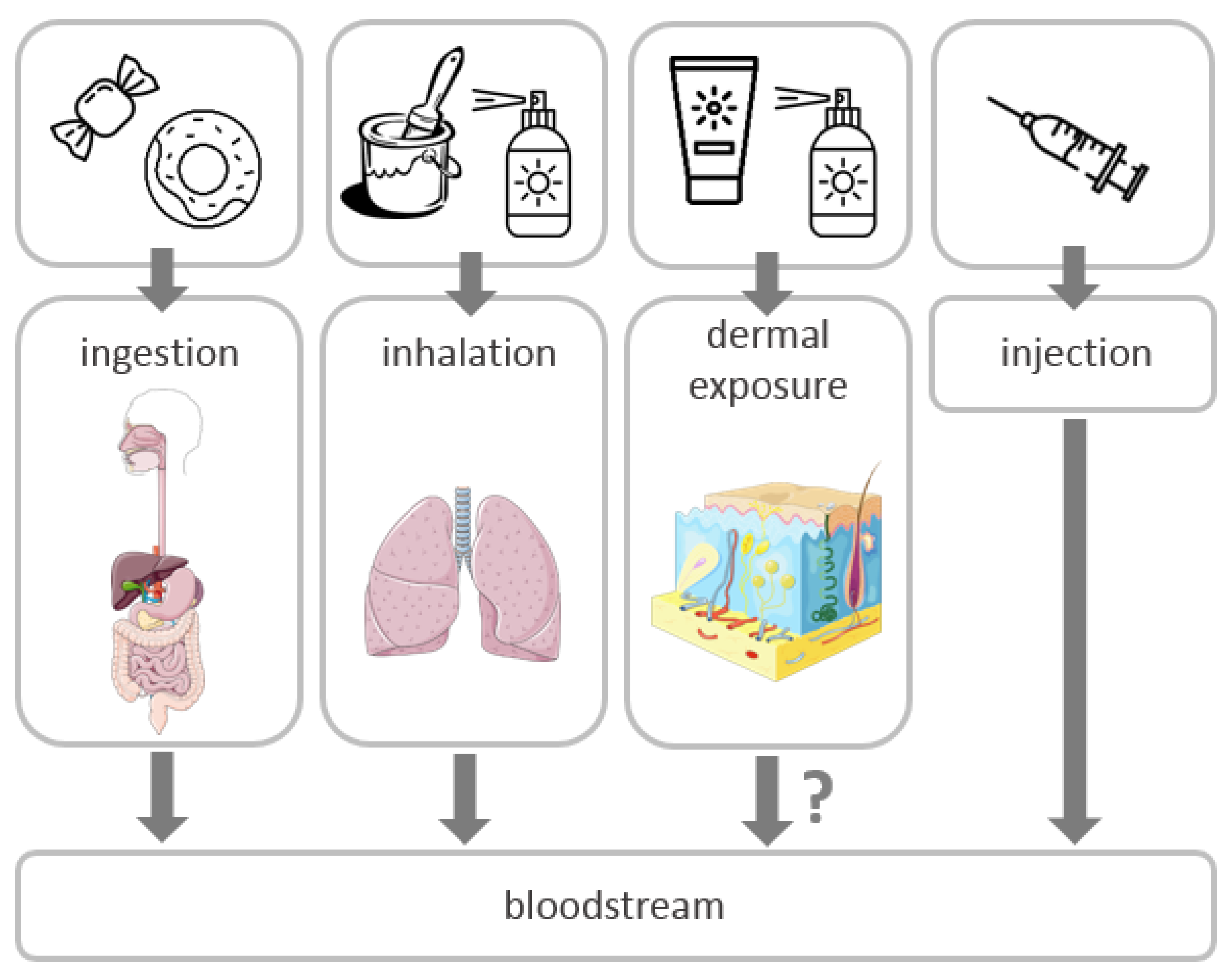Nanomaterials 10 01110 g004