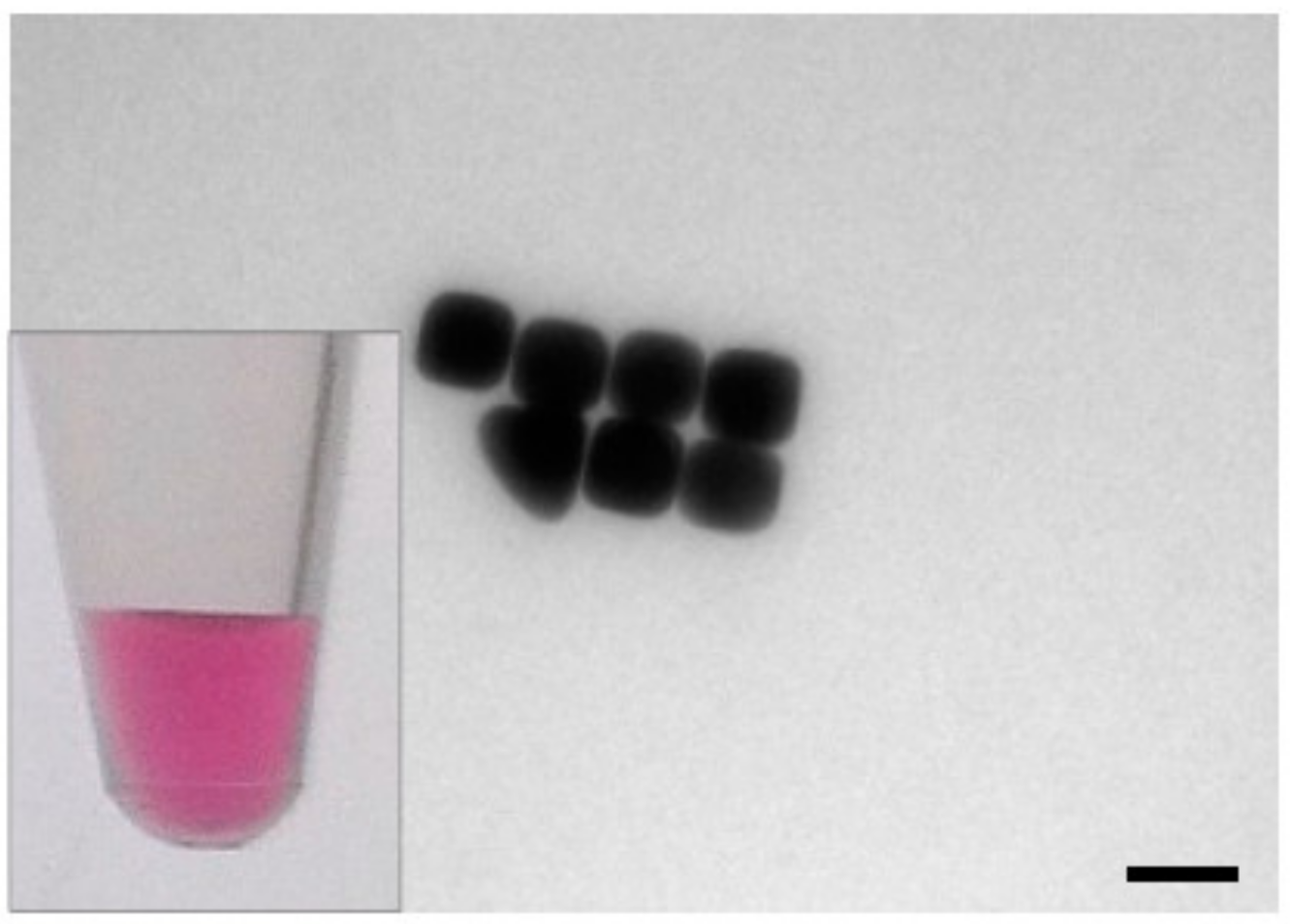 Nanomaterials 10 01119 g002