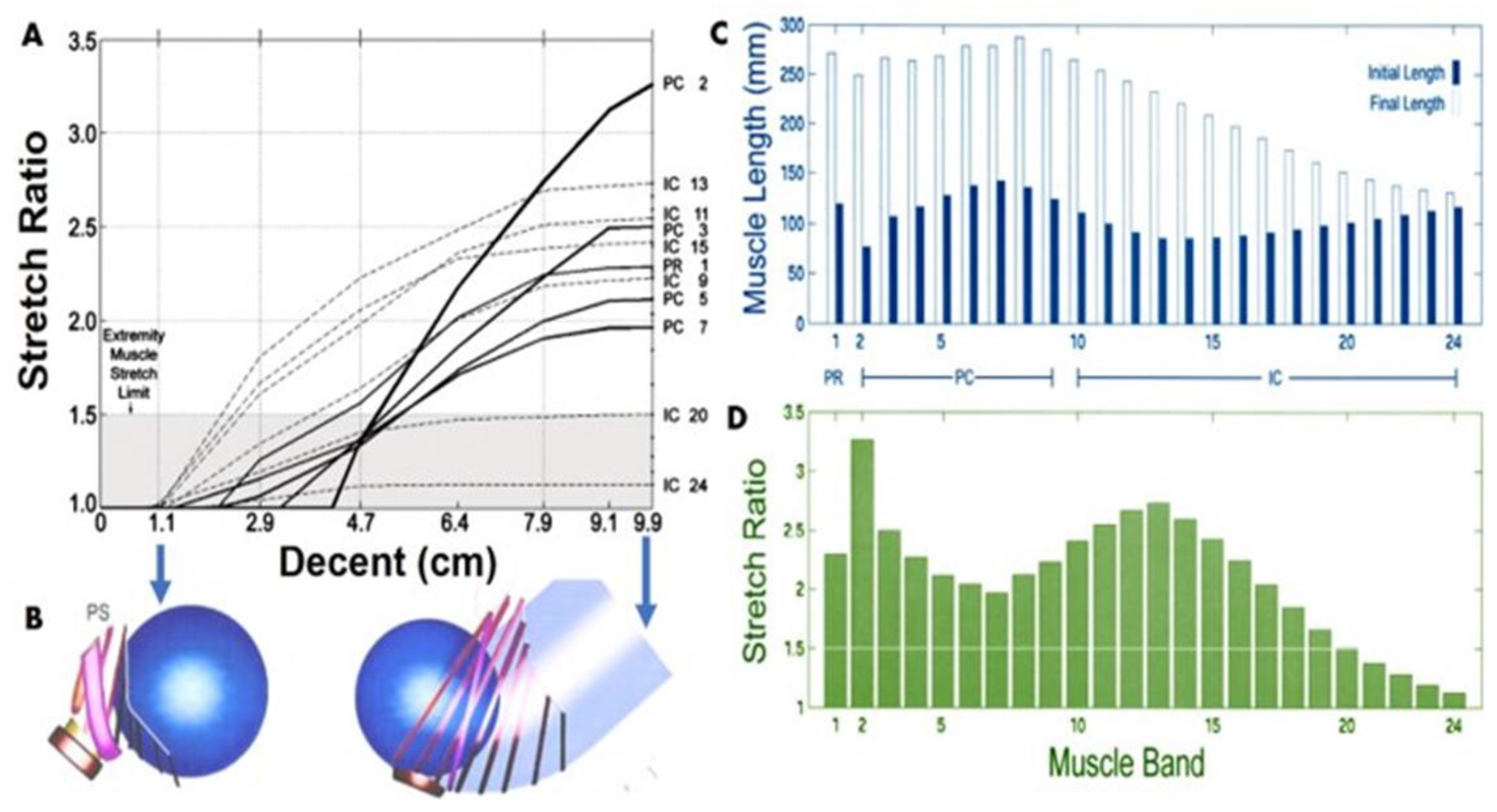 Nanomaterials 10 01120 g001 Nanomaterials 10 01120 g001