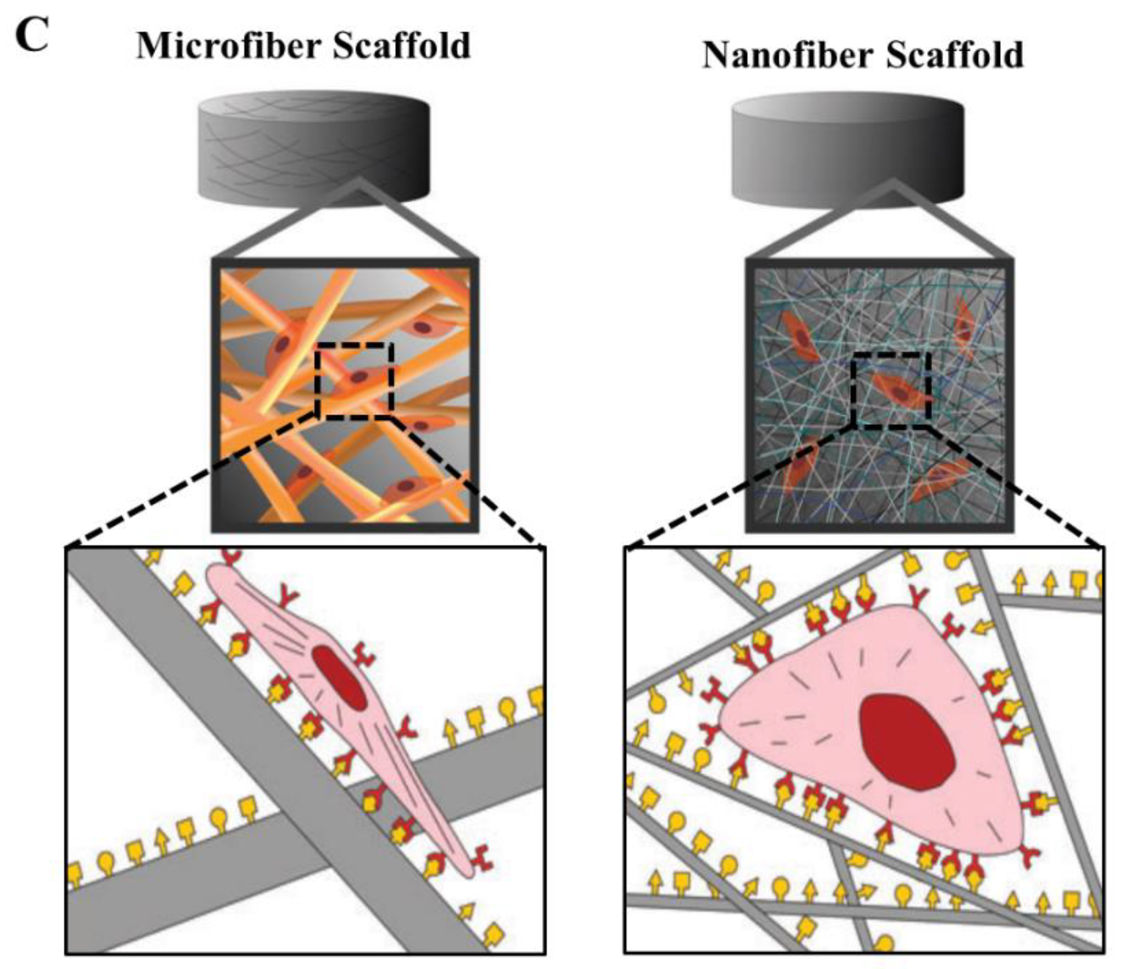 Nanomaterials 10 01120 g004b Nanomaterials 10 01120 g004b
