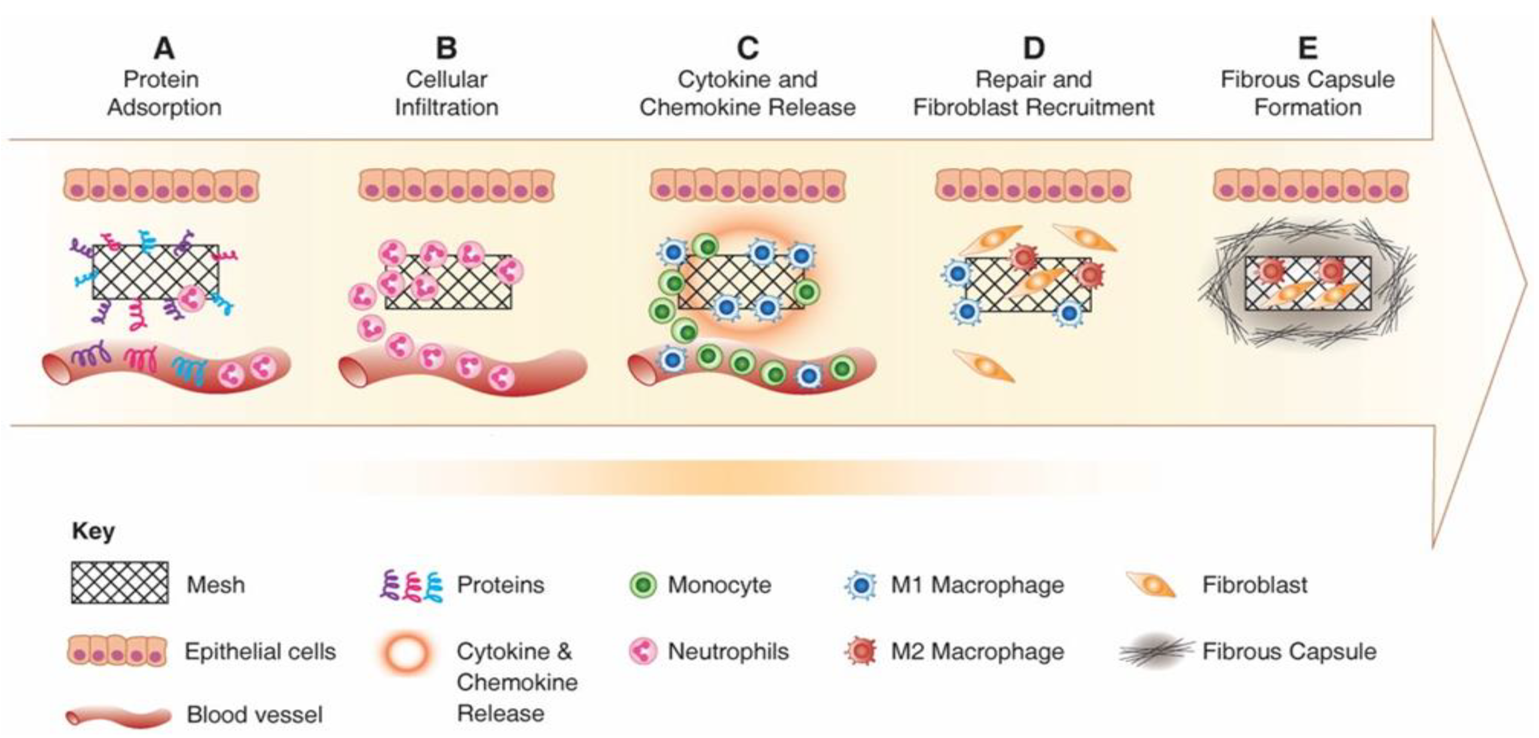 Nanomaterials 10 01120 g008 Nanomaterials 10 01120 g008