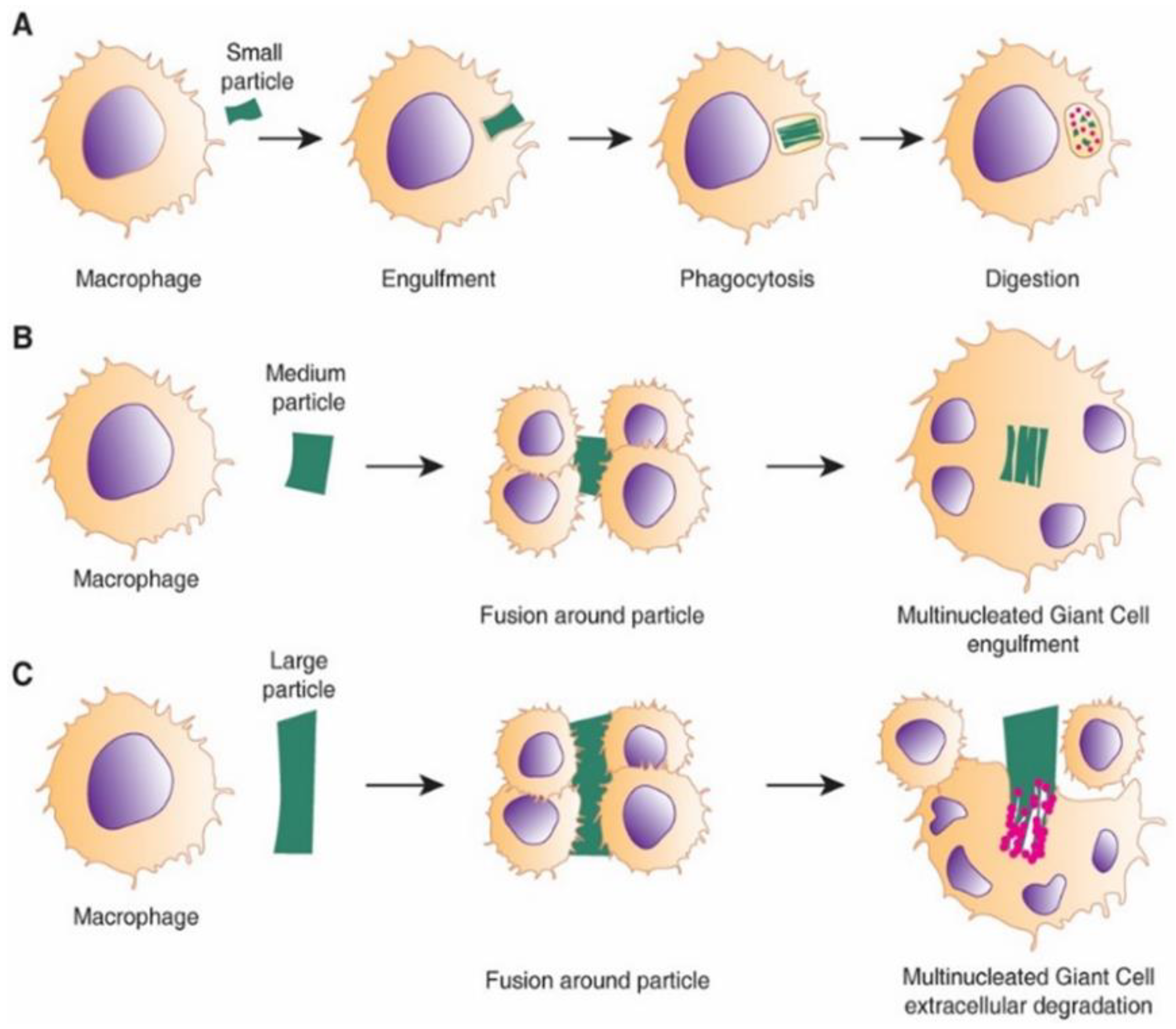 Nanomaterials 10 01120 g009 Nanomaterials 10 01120 g009