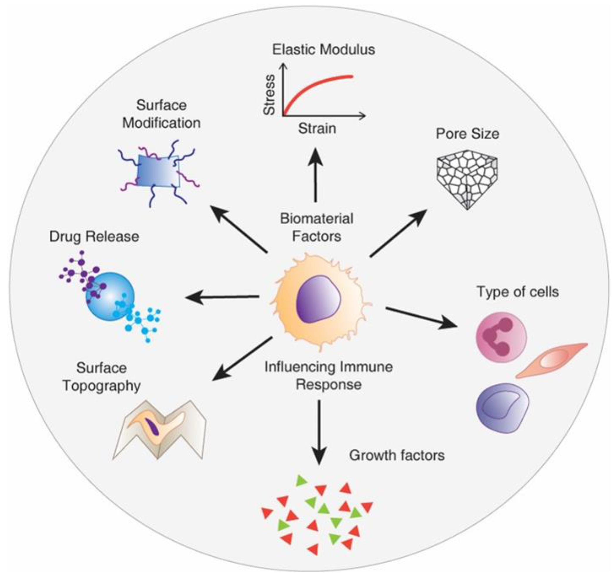Nanomaterials 10 01120 g010 Nanomaterials 10 01120 g010