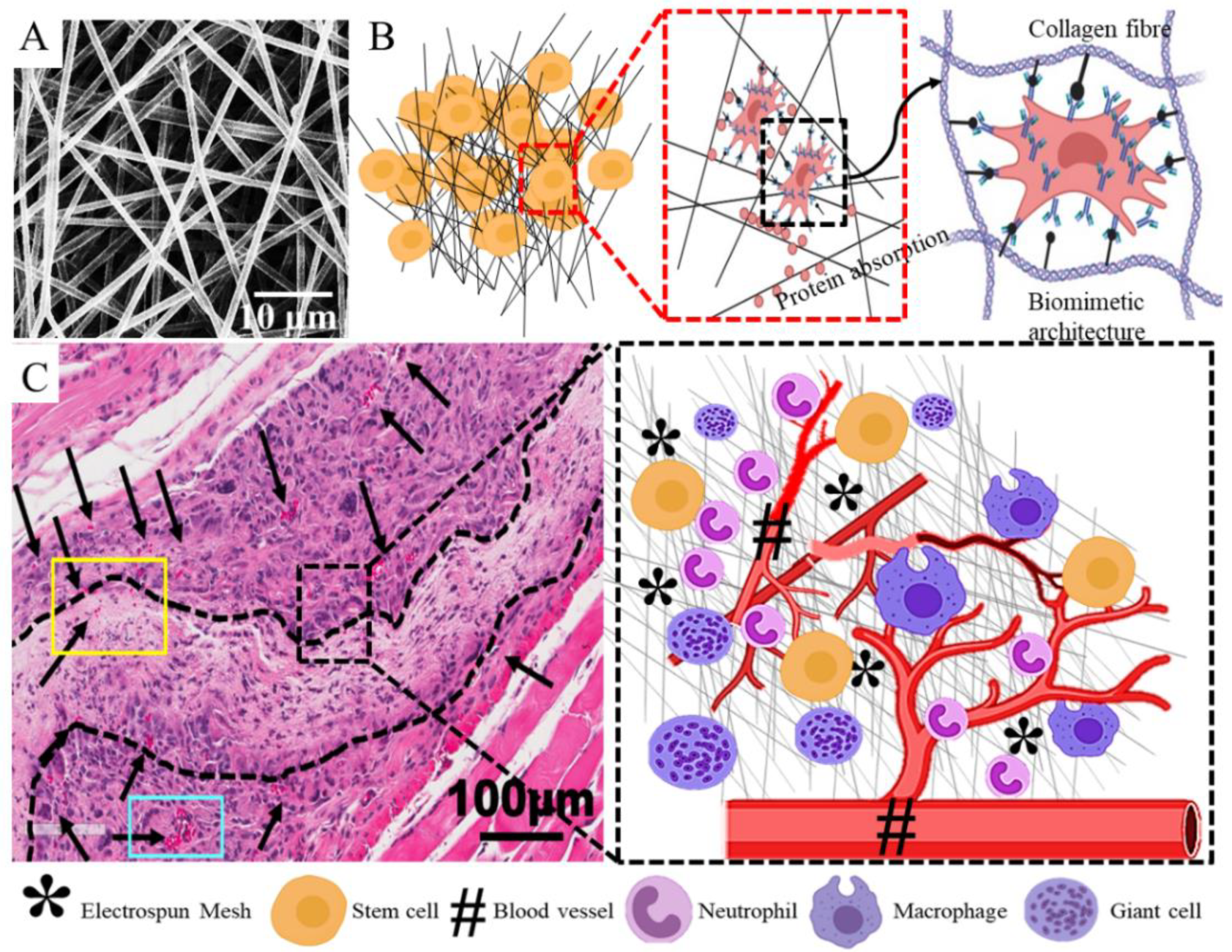 Nanomaterials 10 01120 g011 Nanomaterials 10 01120 g011