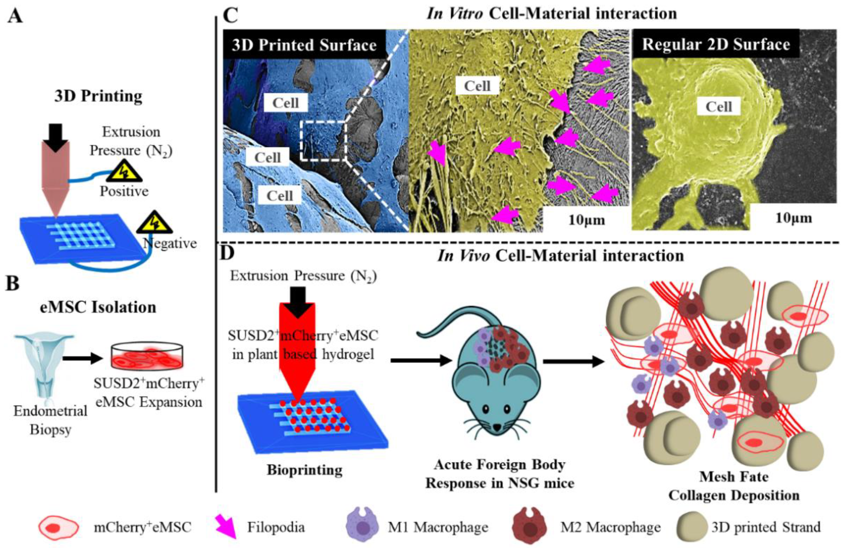 Nanomaterials 10 01120 g012 Nanomaterials 10 01120 g012