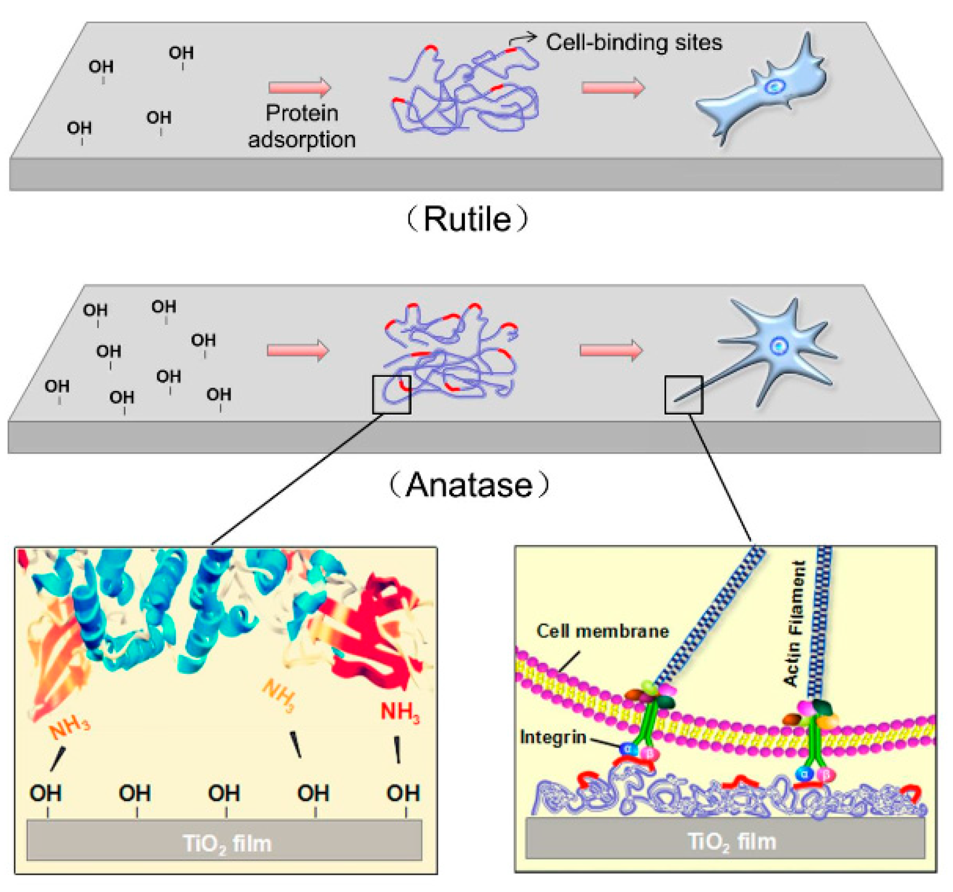 Nanomaterials 10 01121 g008 Nanomaterials 10 01121 g008