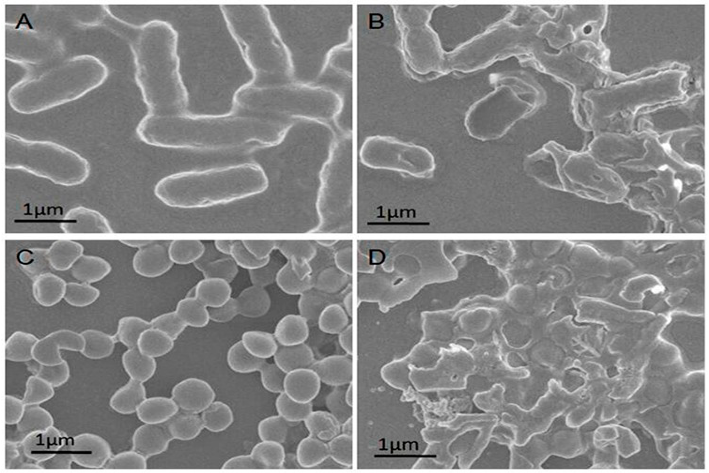 Nanomaterials 10 01123 g002 Nanomaterials 10 01123 g002