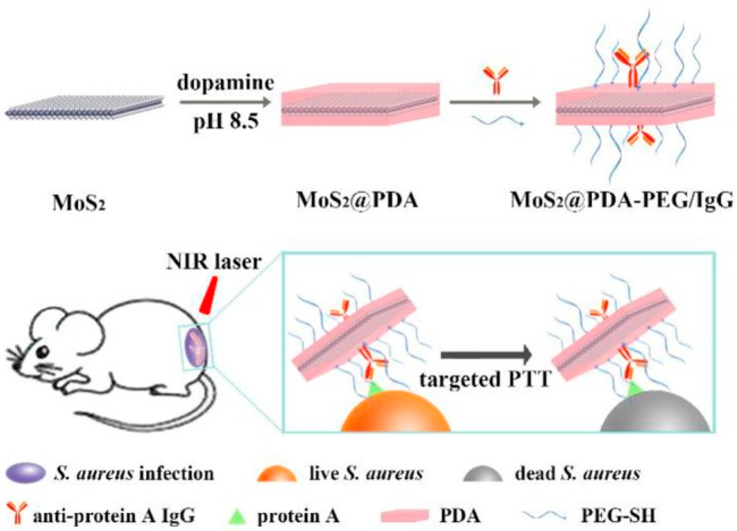 Nanomaterials 10 01123 g003 Nanomaterials 10 01123 g003