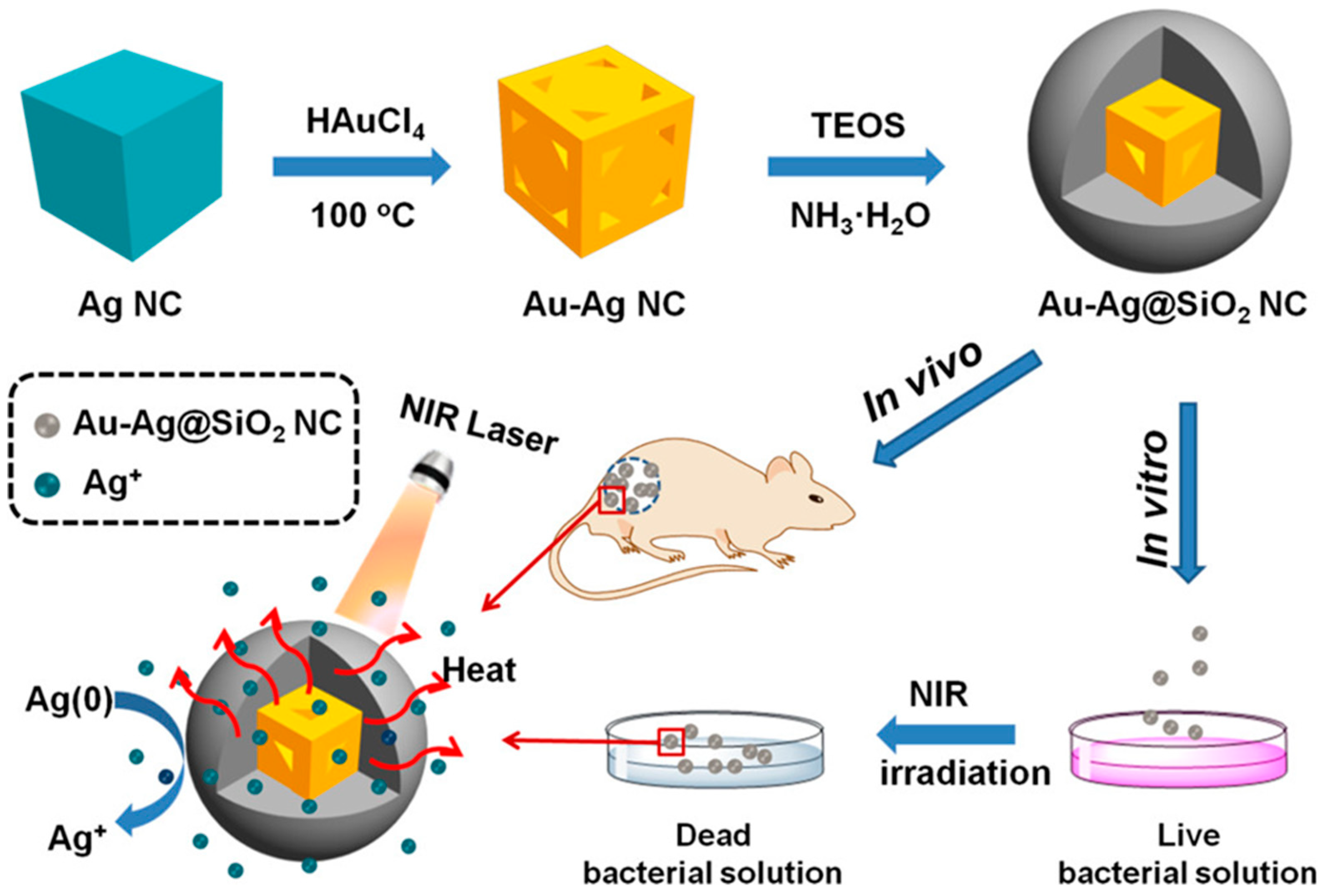 Nanomaterials 10 01123 g004 Nanomaterials 10 01123 g004